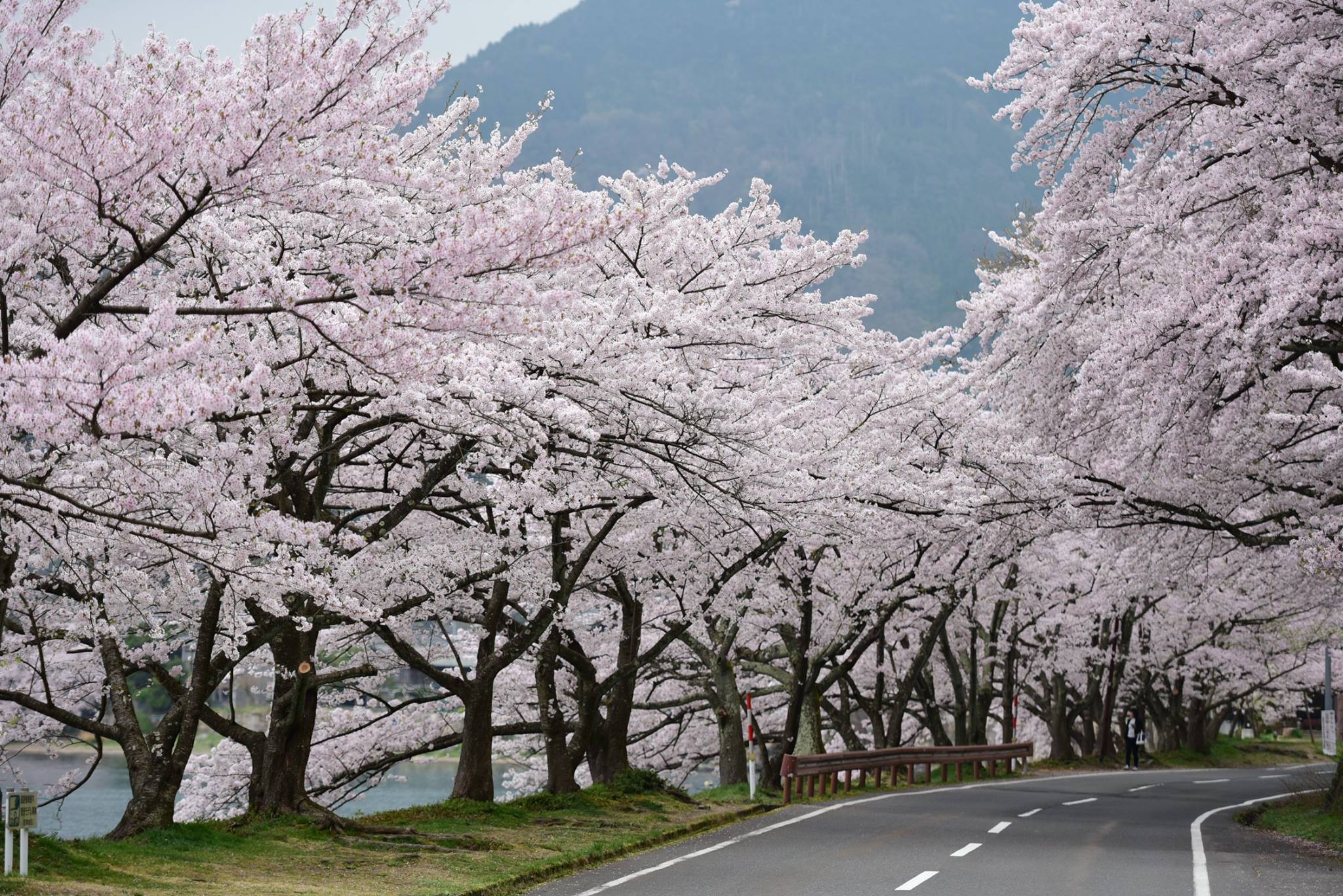 33029728_1975606729434982_5376698167192453120_o