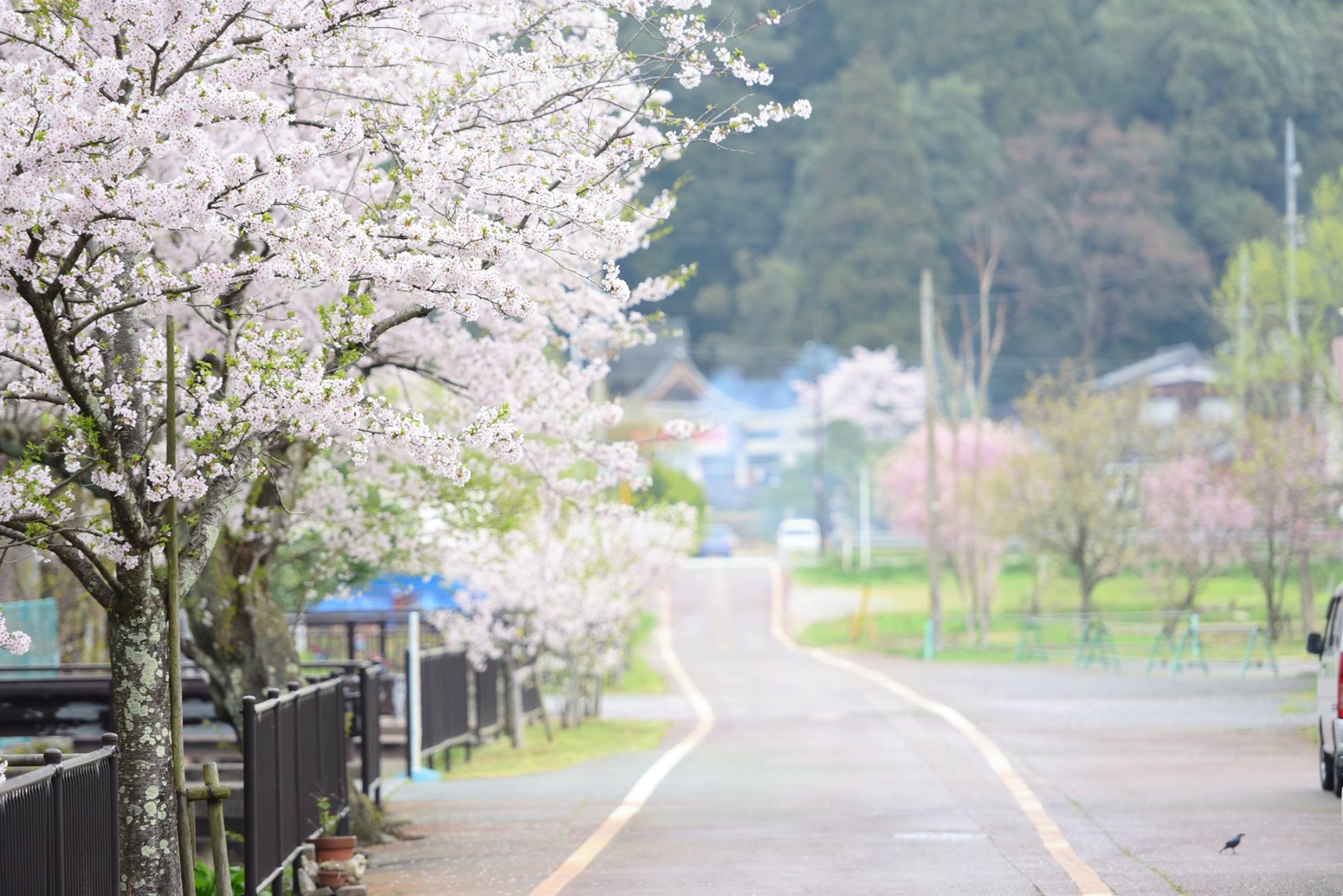 33042140_1975606006101721_4008961382195134464_o