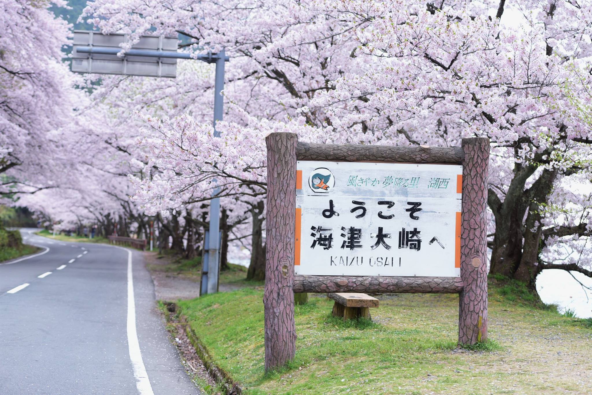 33074572_1975606079435047_6711775883432034304_o