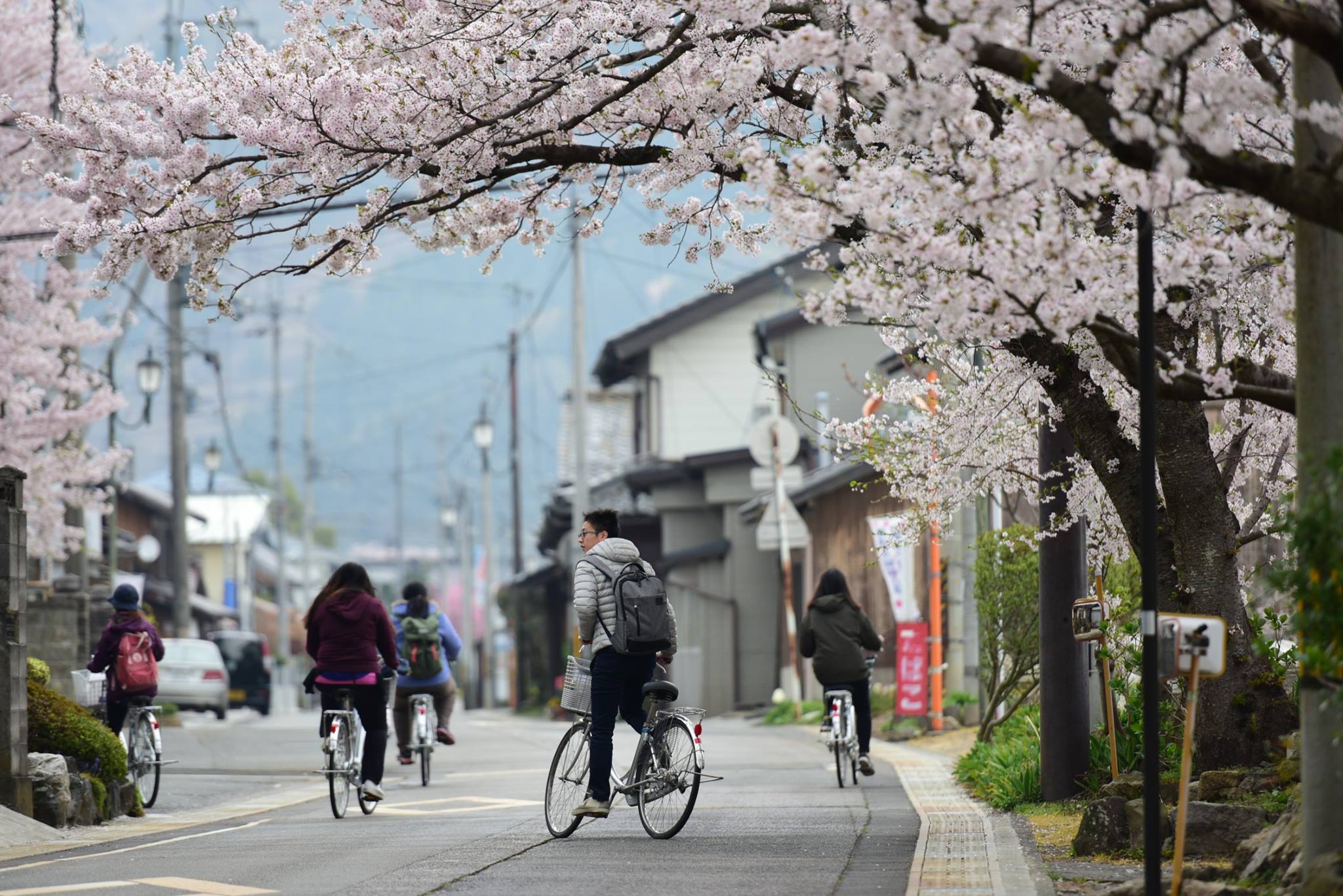 33083929_1975607036101618_4365552850126766080_o