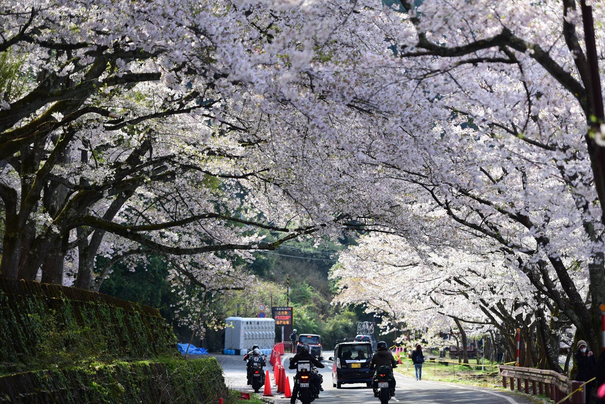 33101815_1975600786102243_1805409452996689920_o