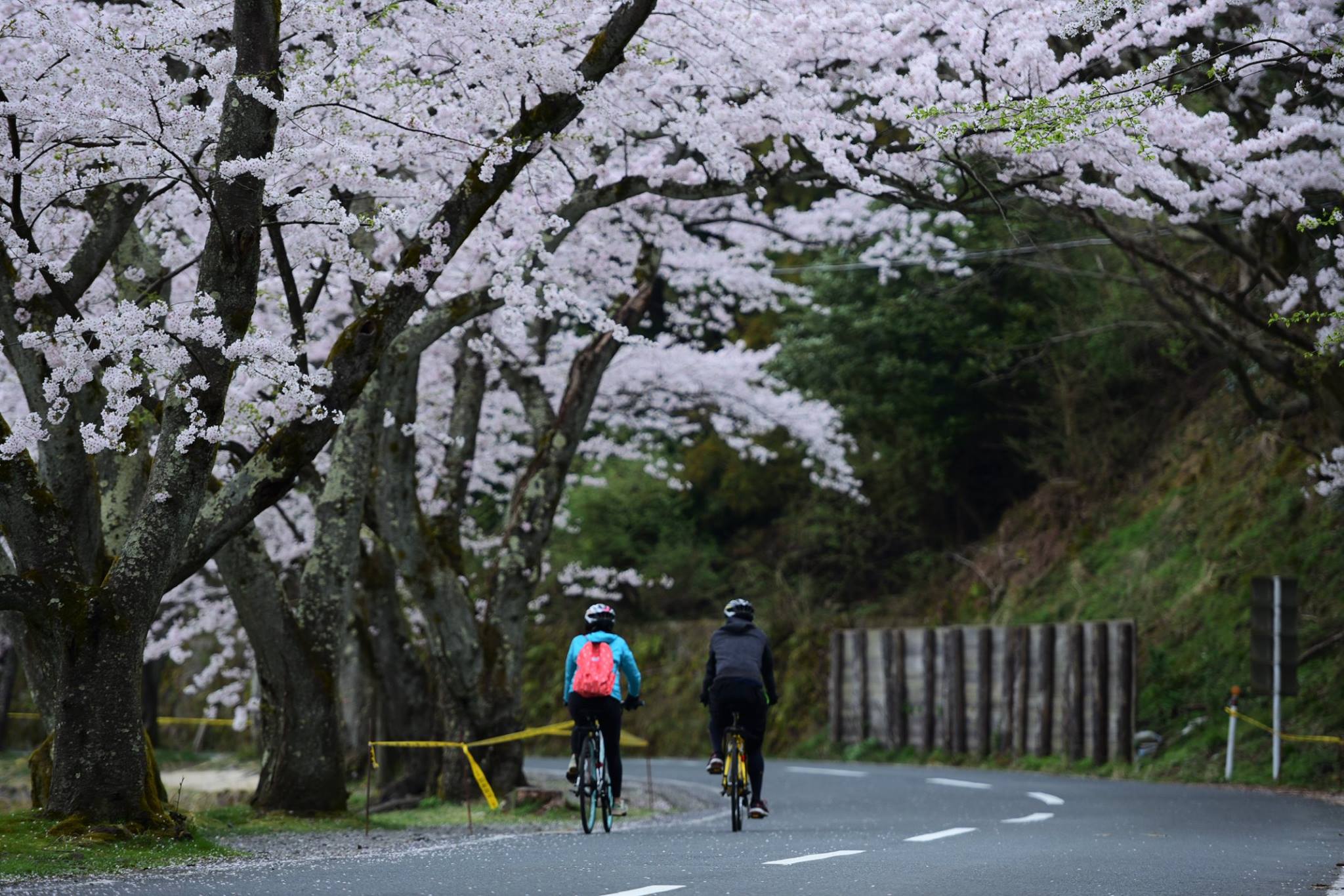 33141825_1975606249435030_717155123482066944_o