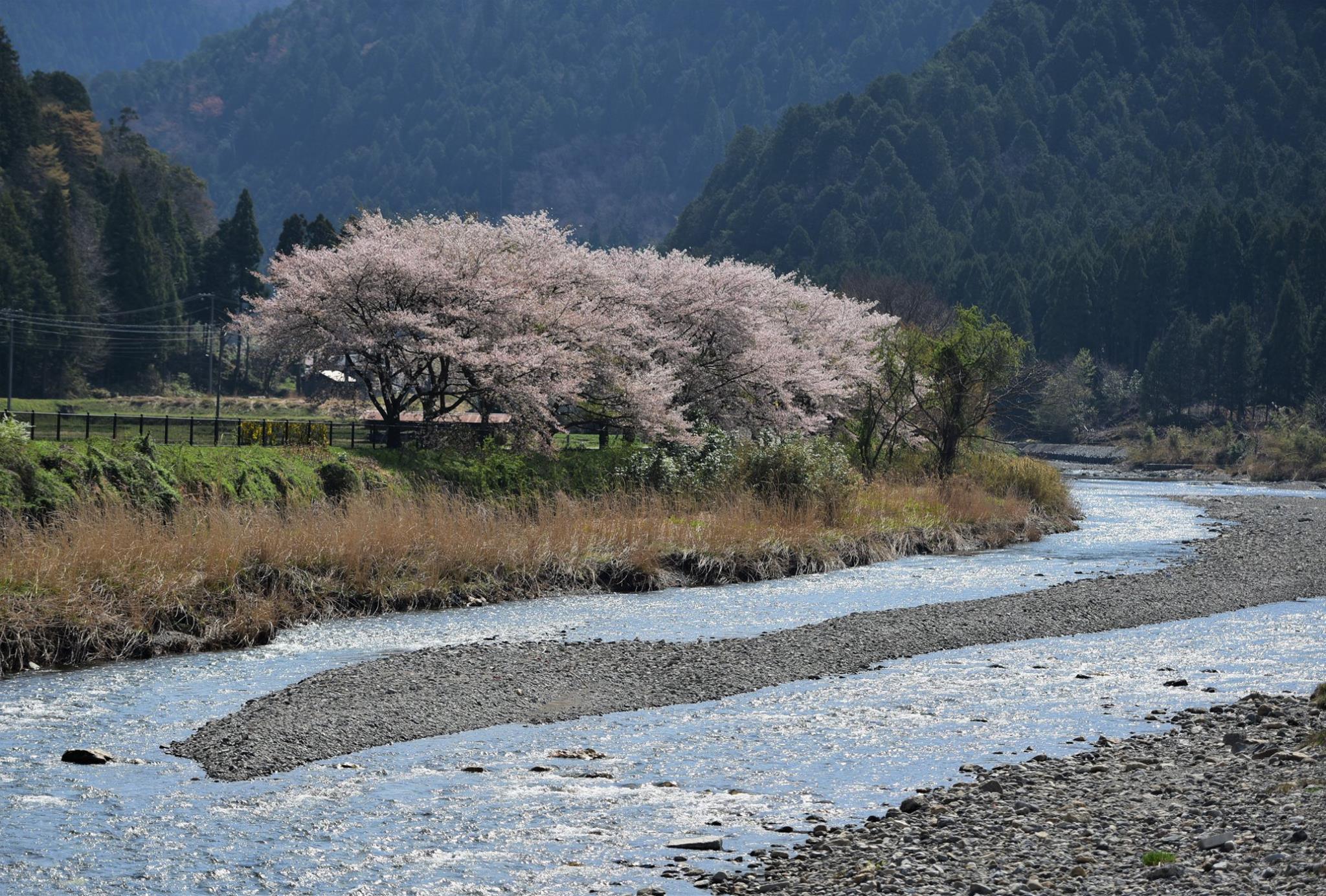 34016695_1981652582163730_2937021692112797696_o