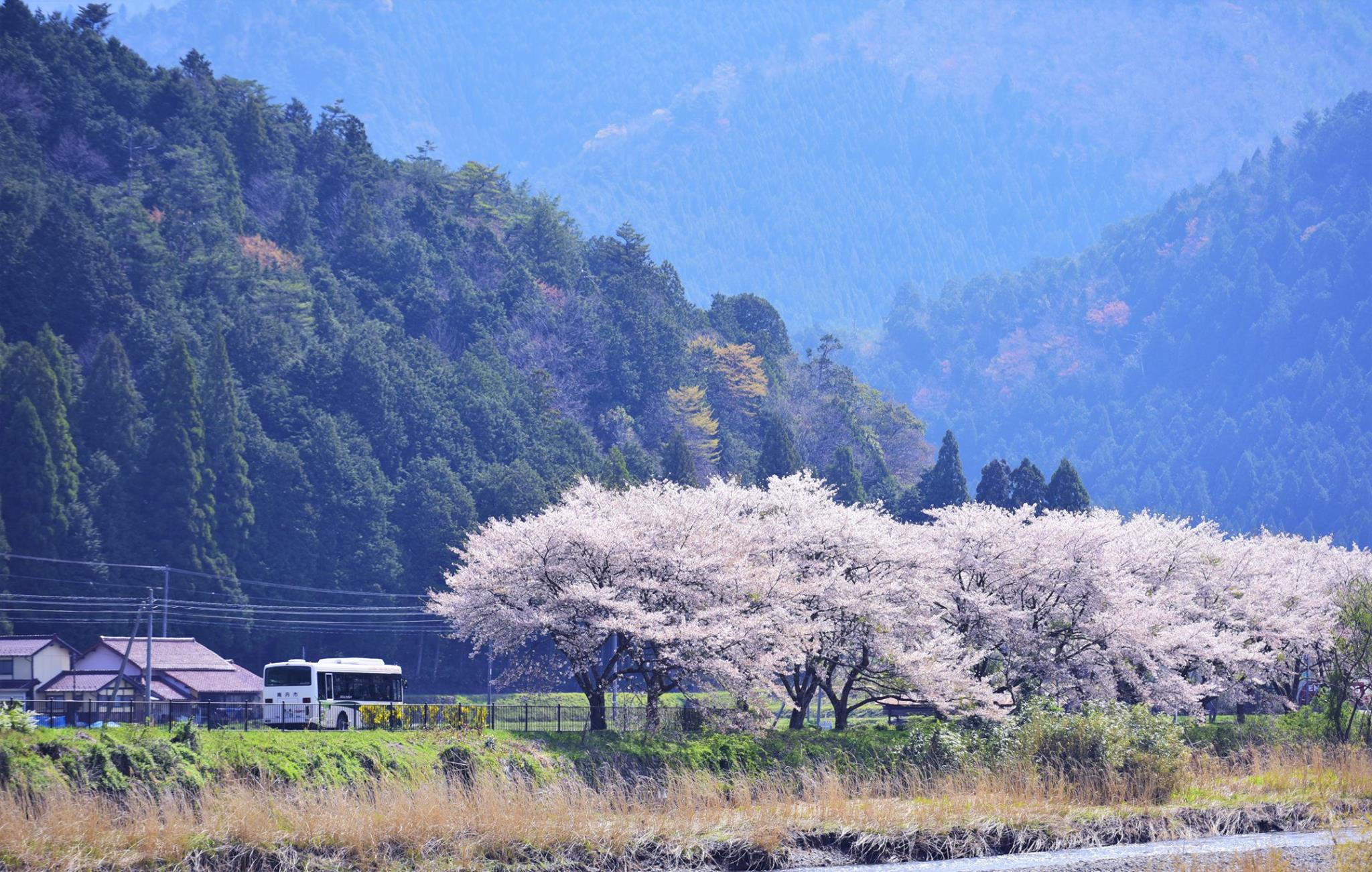 34104787_1981652502163738_4014978377973760000_o