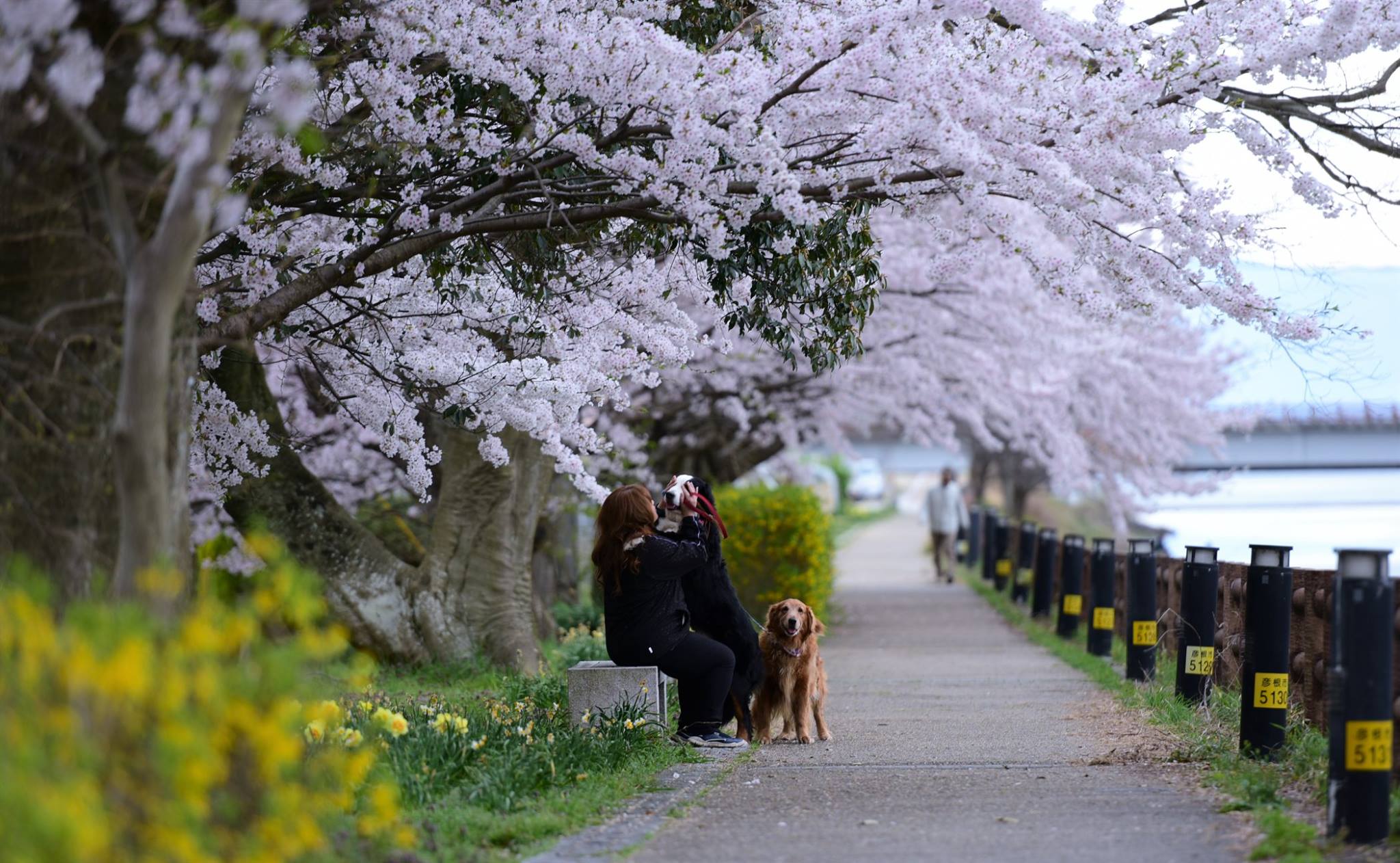 p7osirvvqp5HDqsDDdz-o