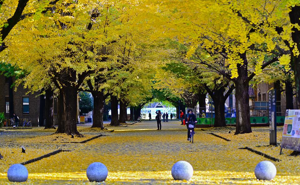 1436969052-1170328614-o