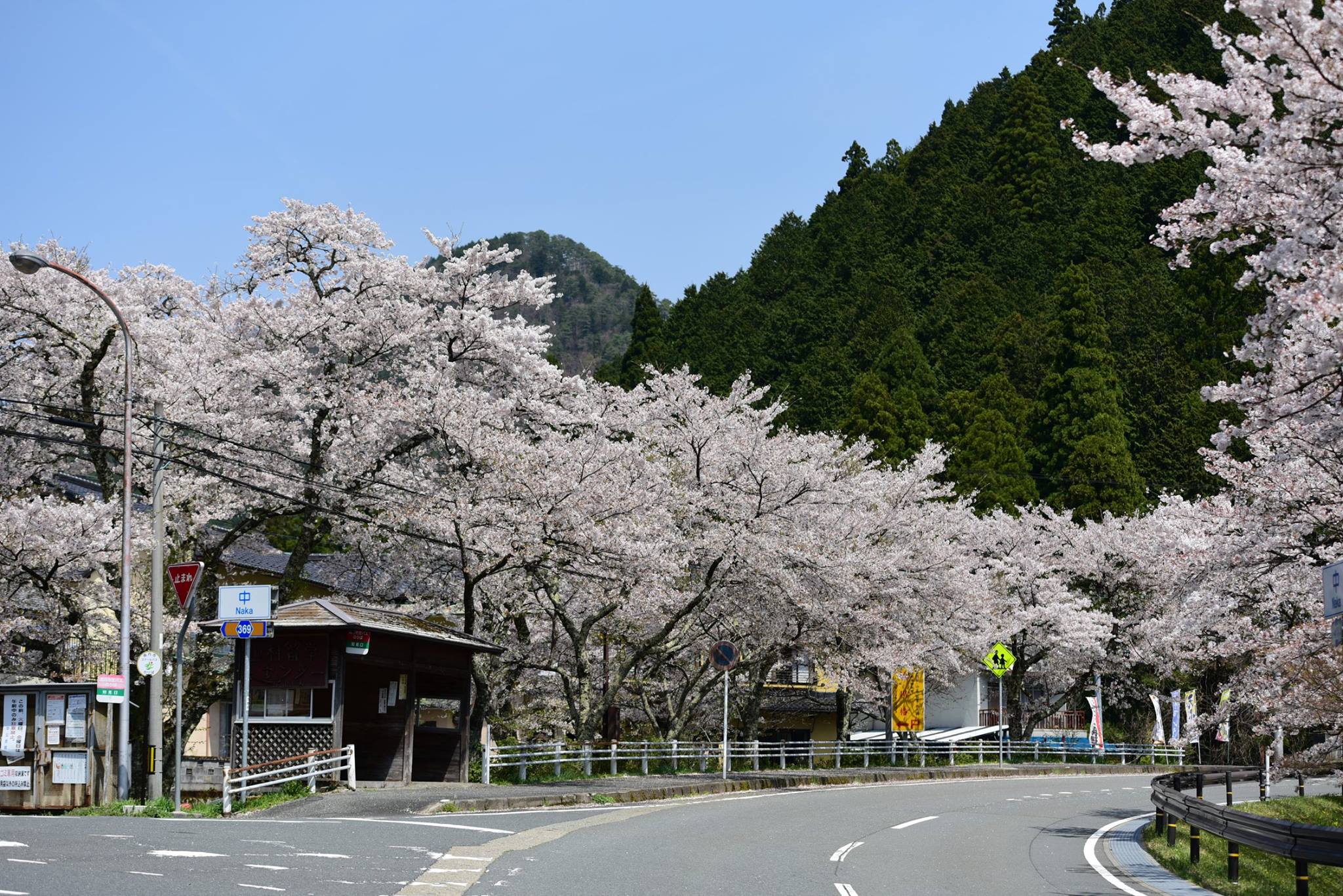 30710815_2116322668408240_807973418136764416_o