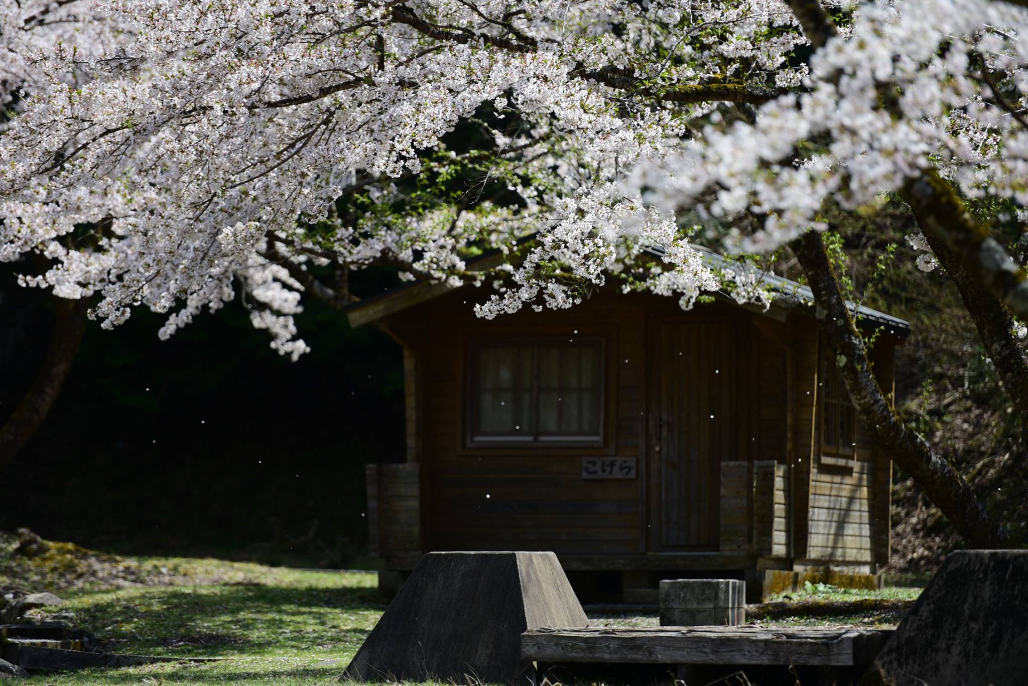 31165958_1962258014103187_7934232998755434496_o