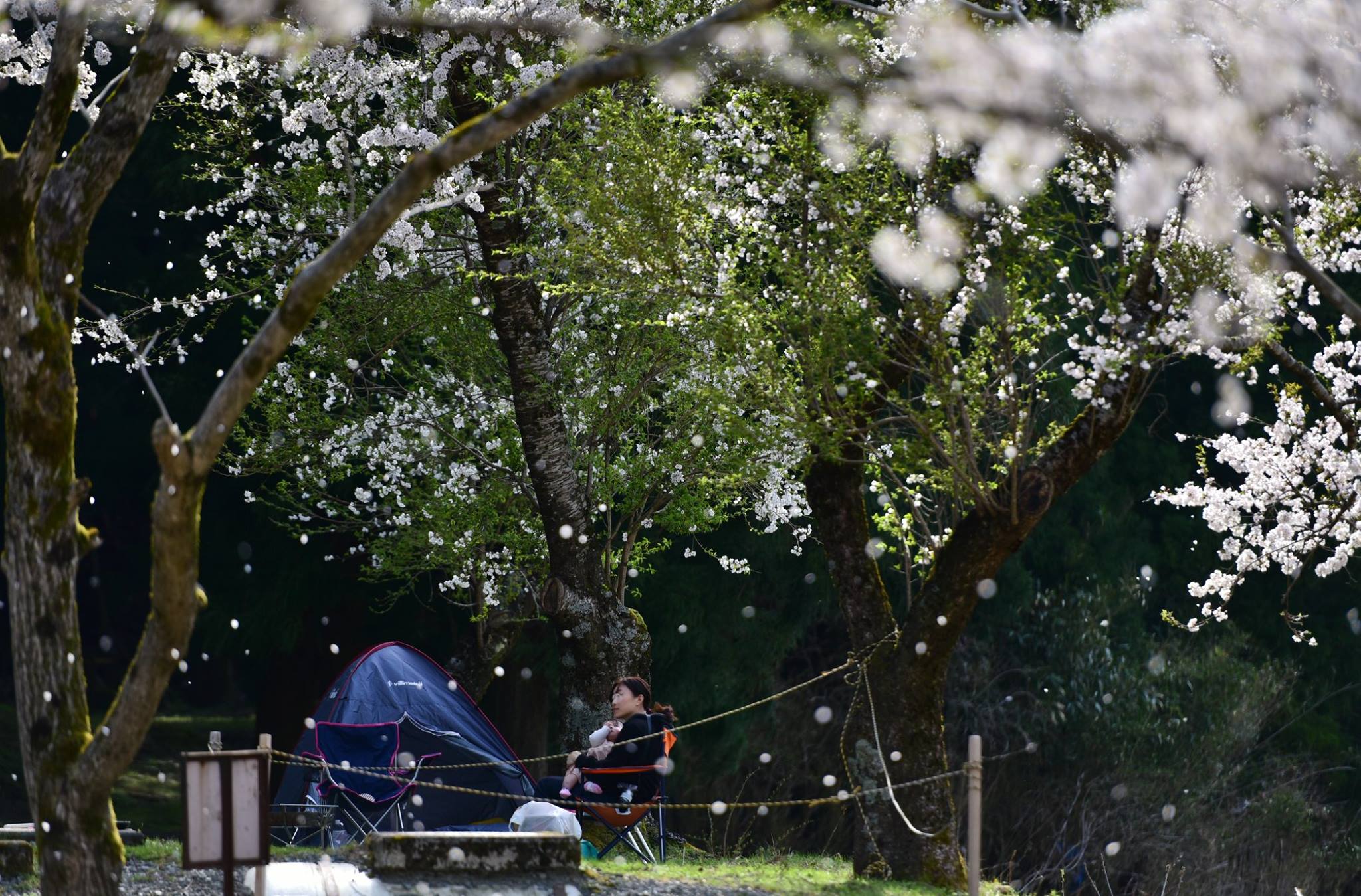 31180206_1962258440769811_2484349069875478528_o