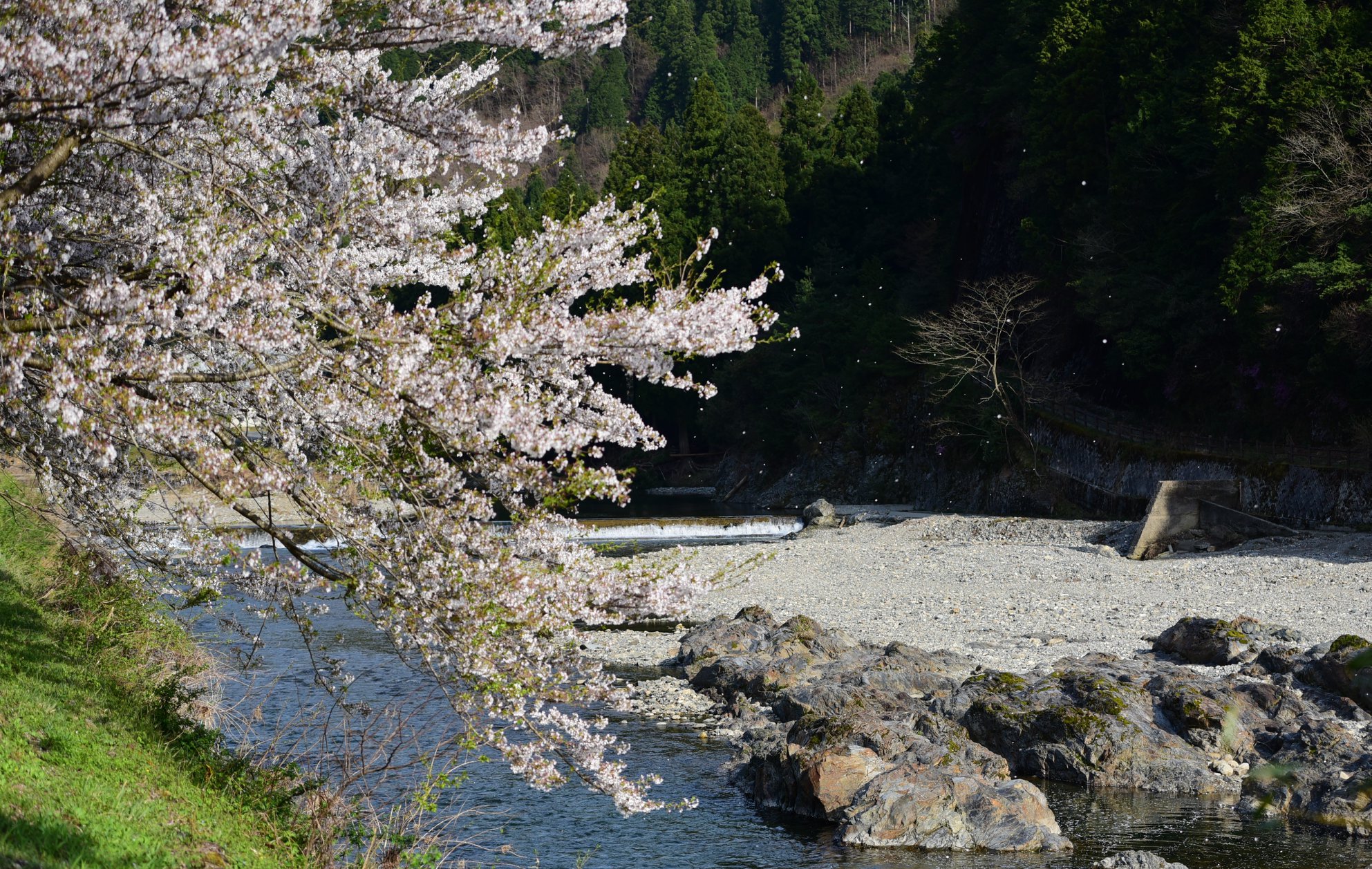 31230418_1962258374103151_6600270900270989312_o