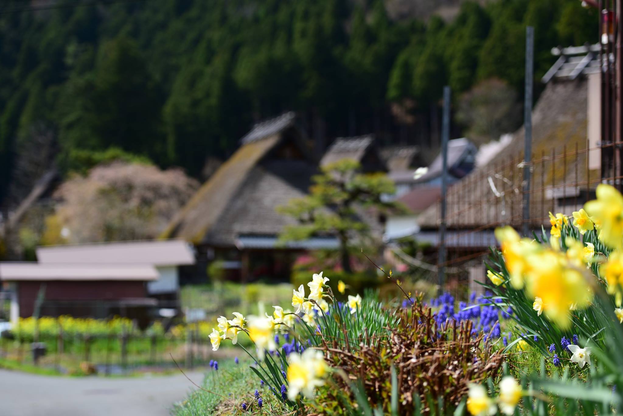 33923620_1981652958830359_8196841940776386560_o