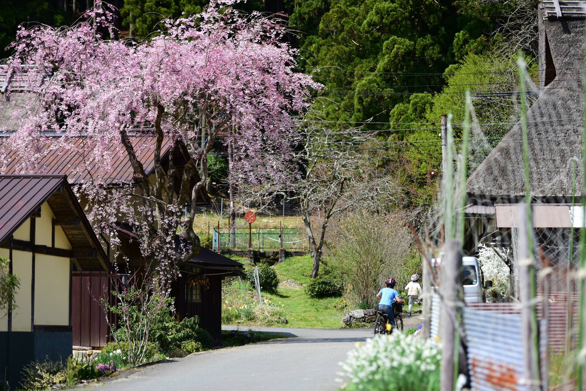 33962683_1981653055497016_7287407711342297088_o