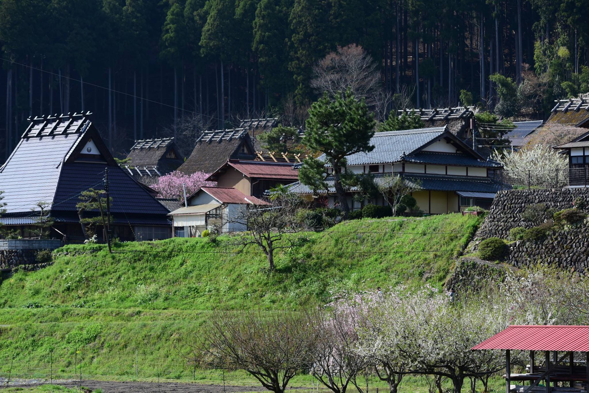 33965304_1981653822163606_8117944383686311936_o