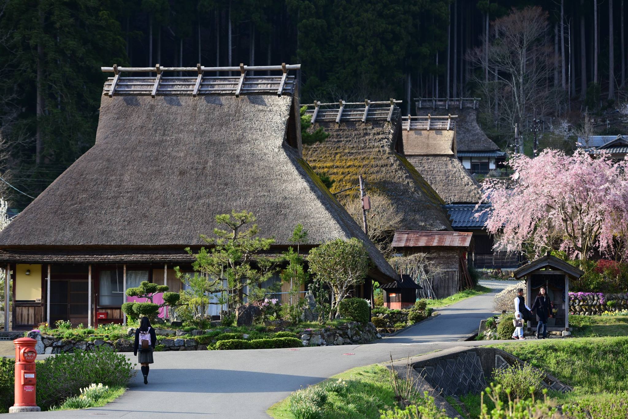 33988236_1981653875496934_8558389800967602176_o