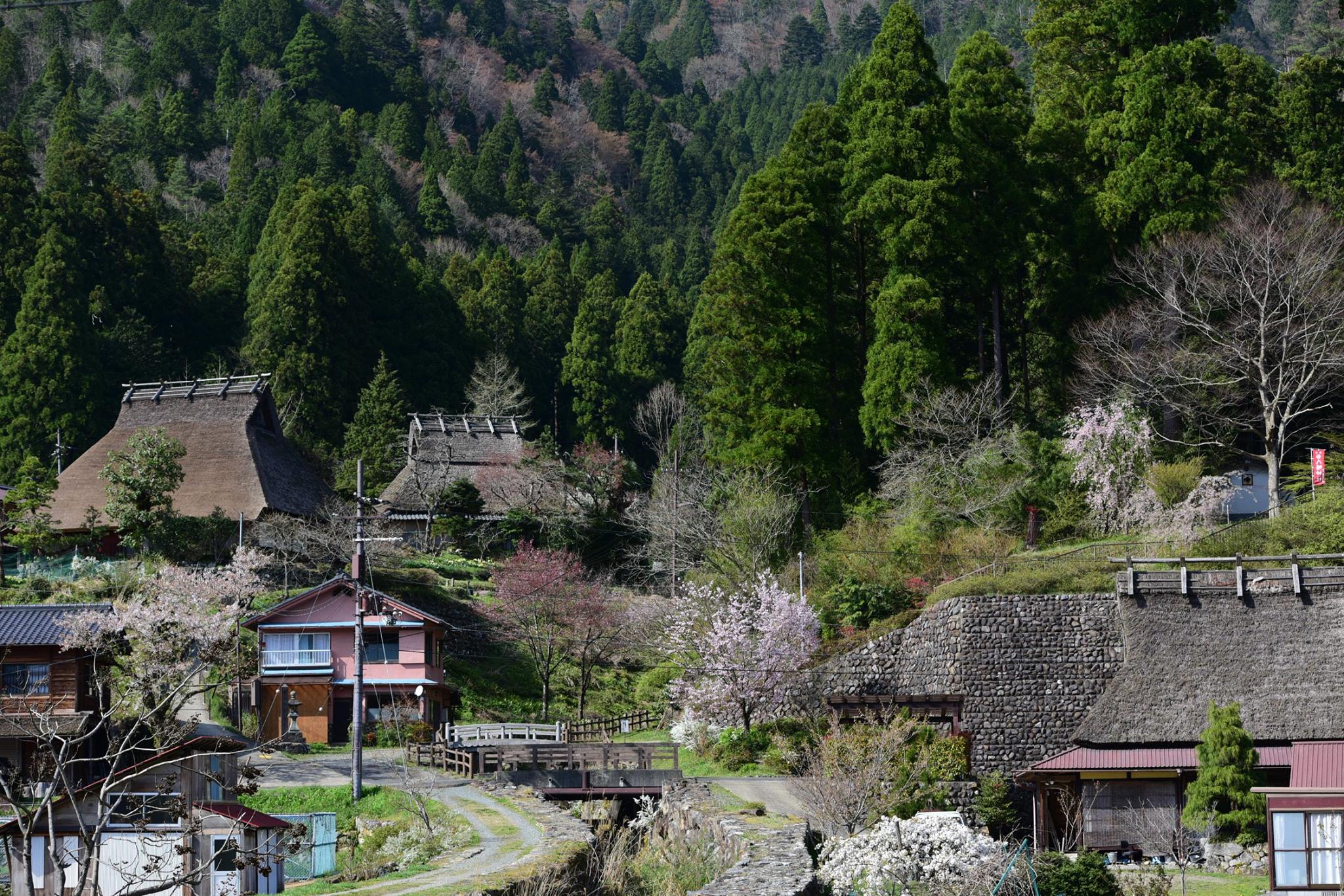 34034779_1981653808830274_9008420752029908992_o