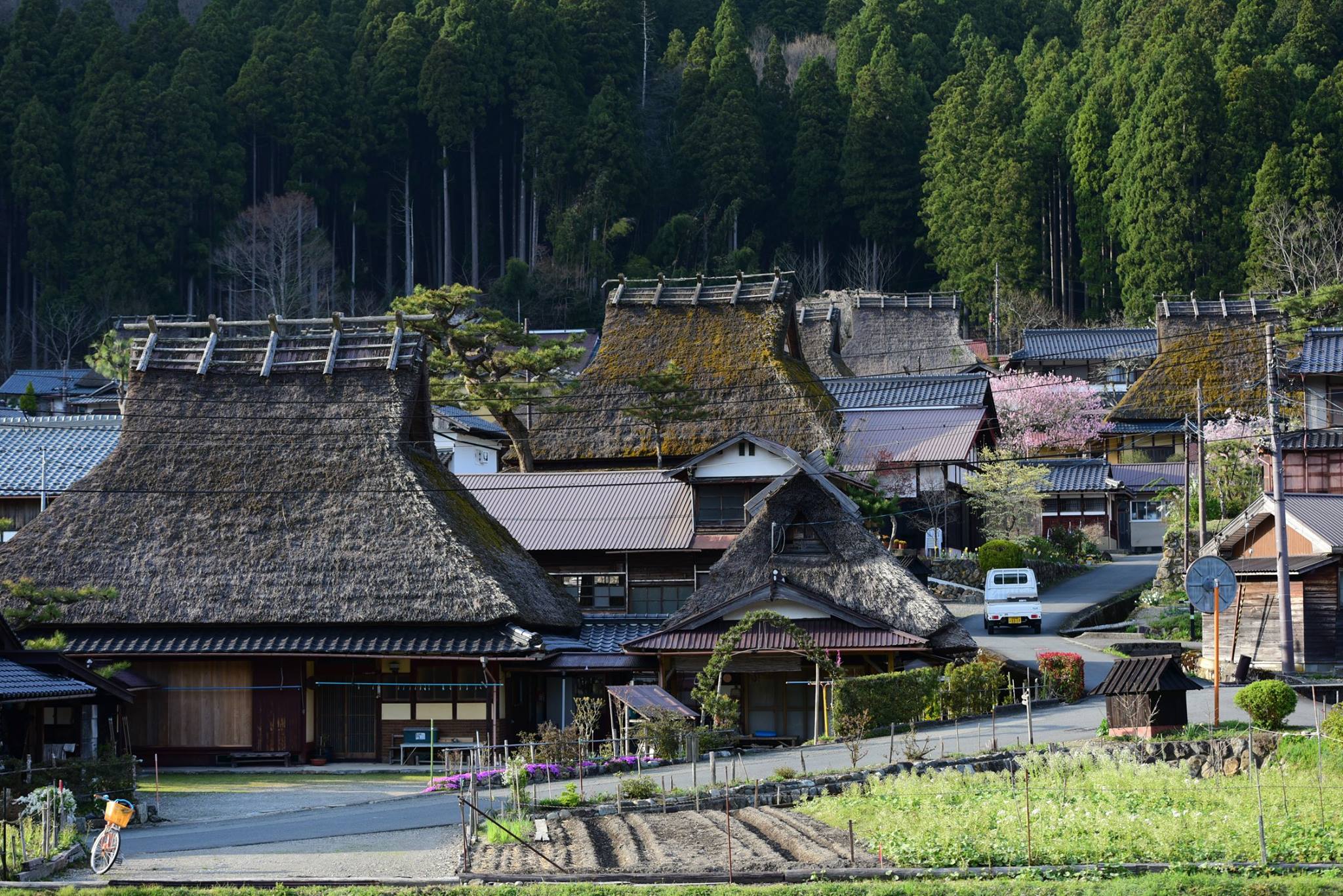 34072613_1981654302163558_1043425011362168832_o