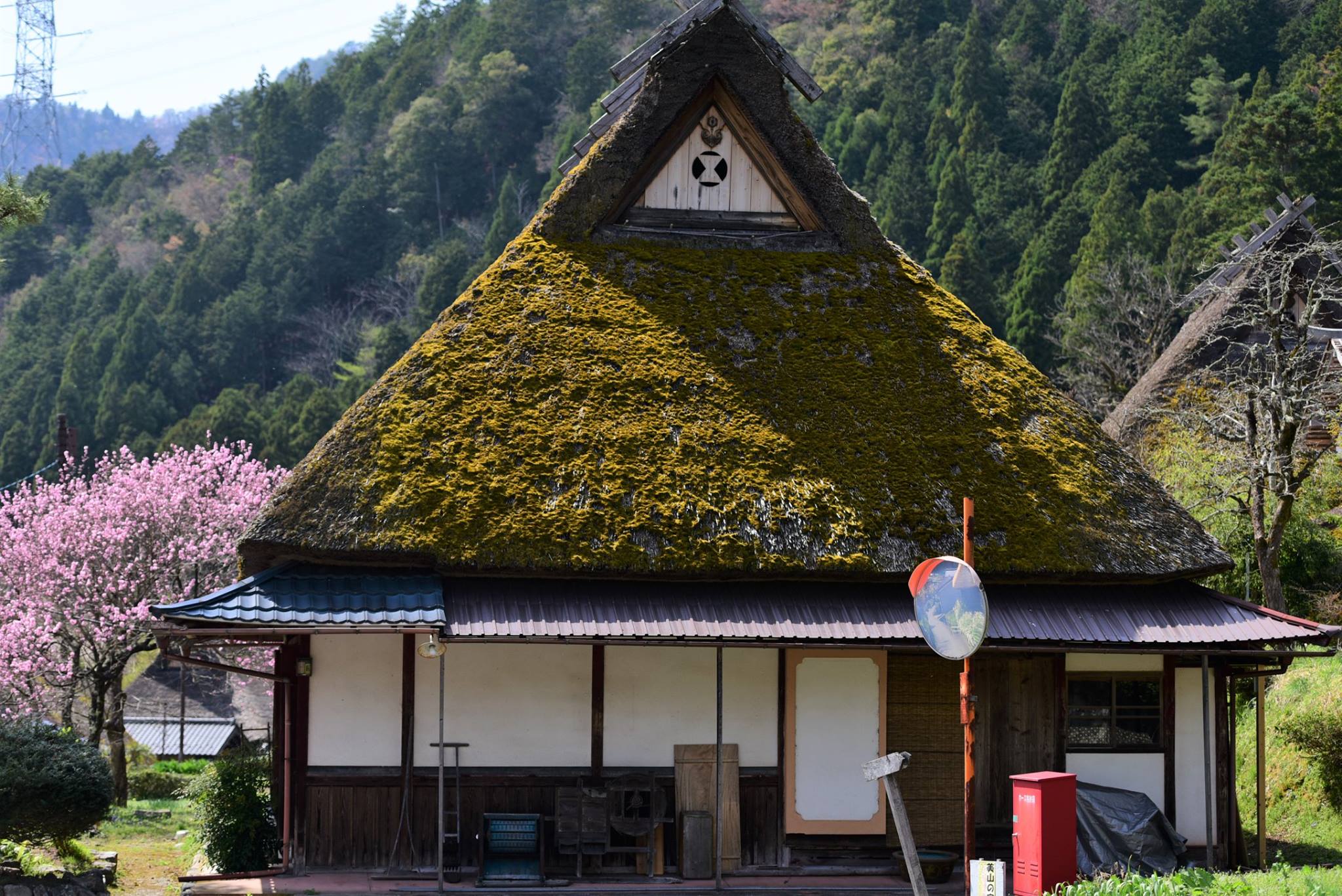 34102582_1981653082163680_2137705502115627008_o