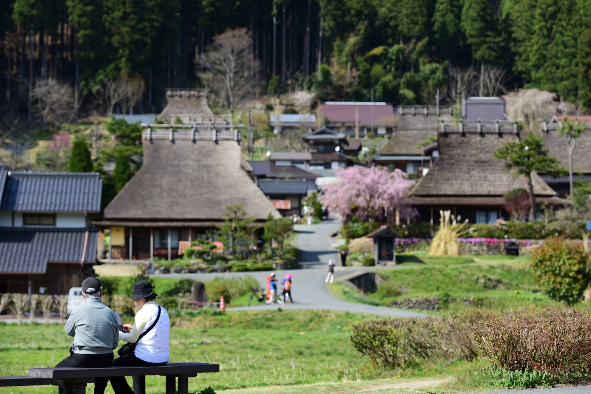 34103738_1981653552163633_7160106036035059712_o