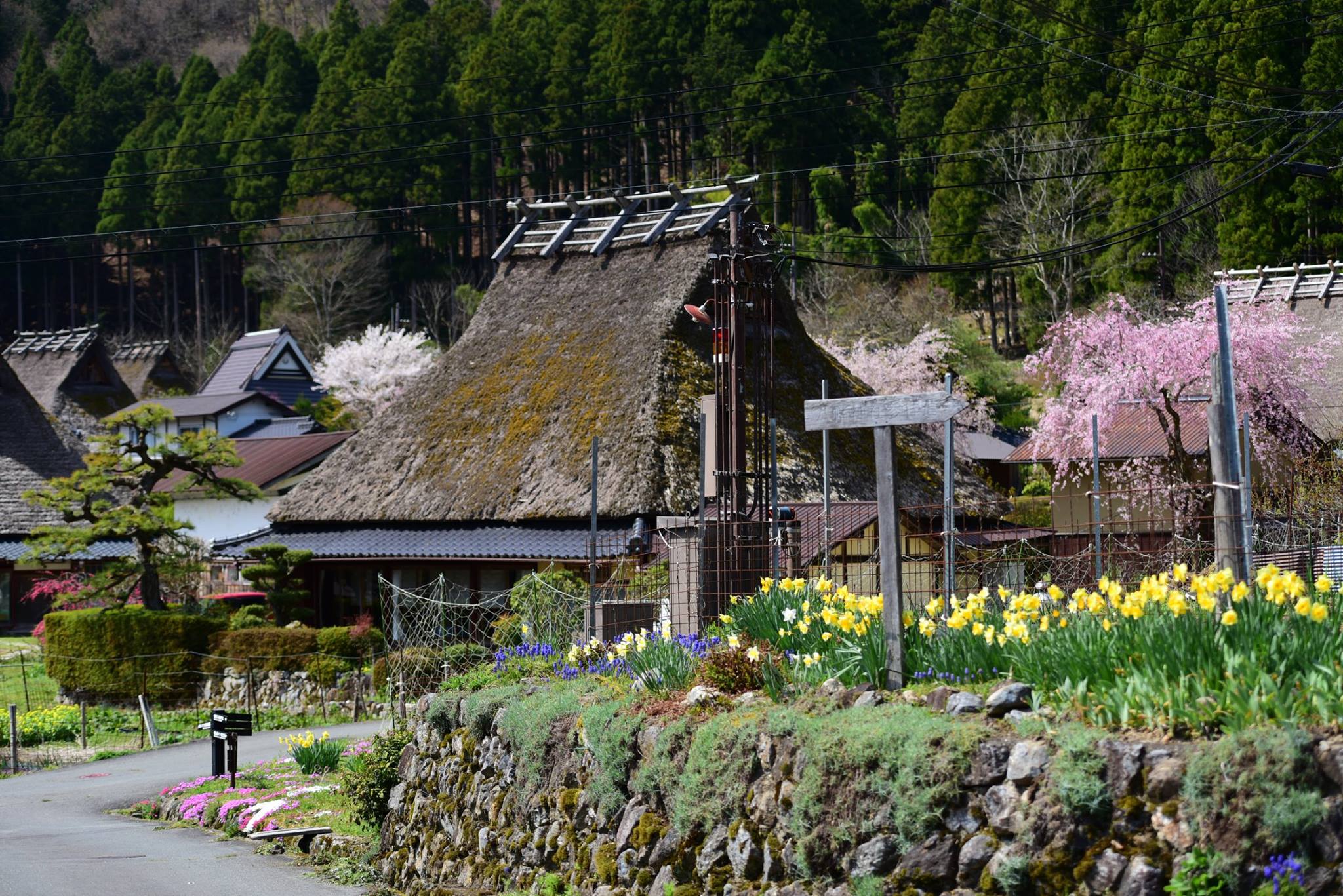 34140917_1981652942163694_7774899792362078208_o