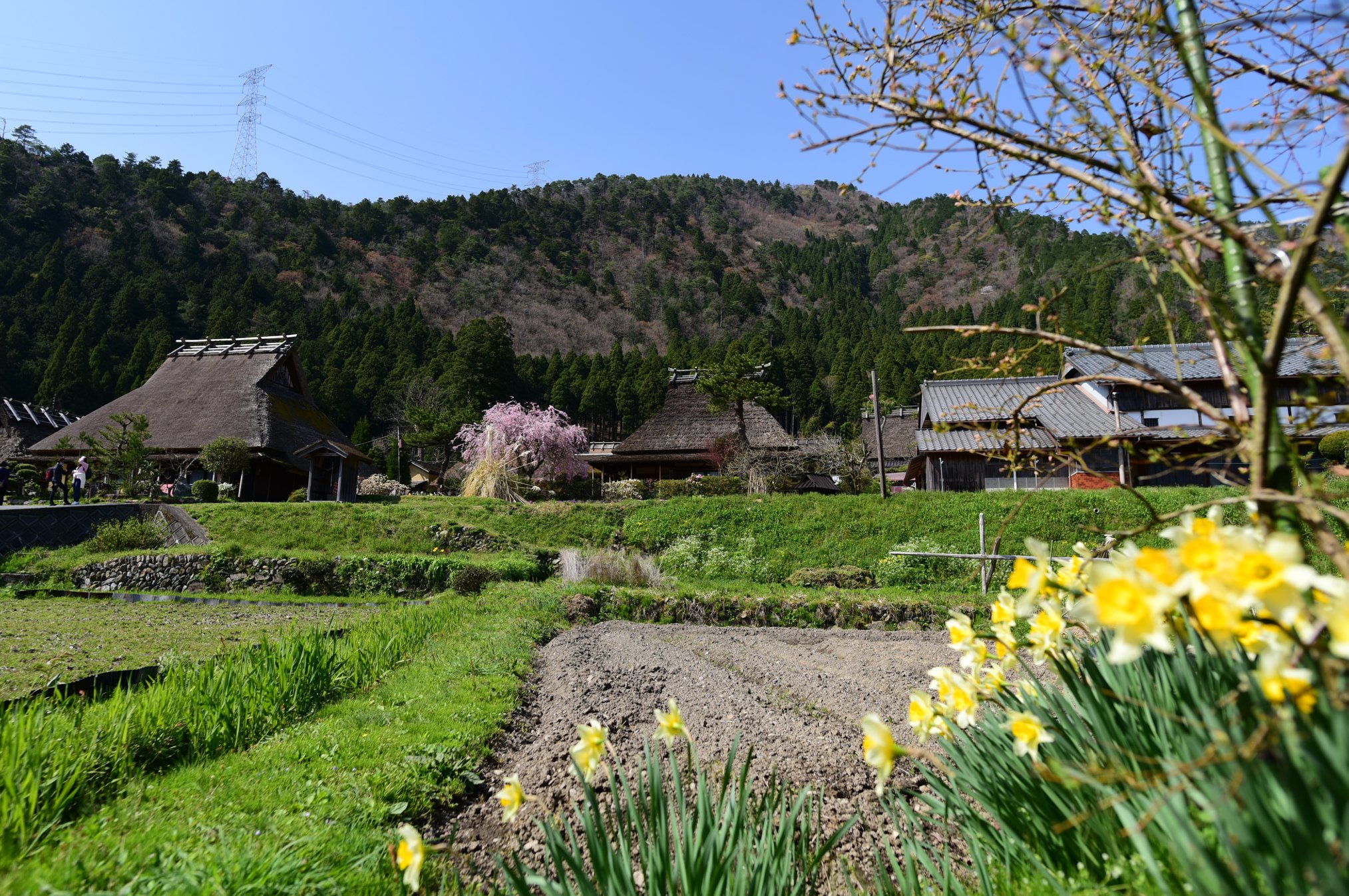 34191082_1981653445496977_838007557502009344_o