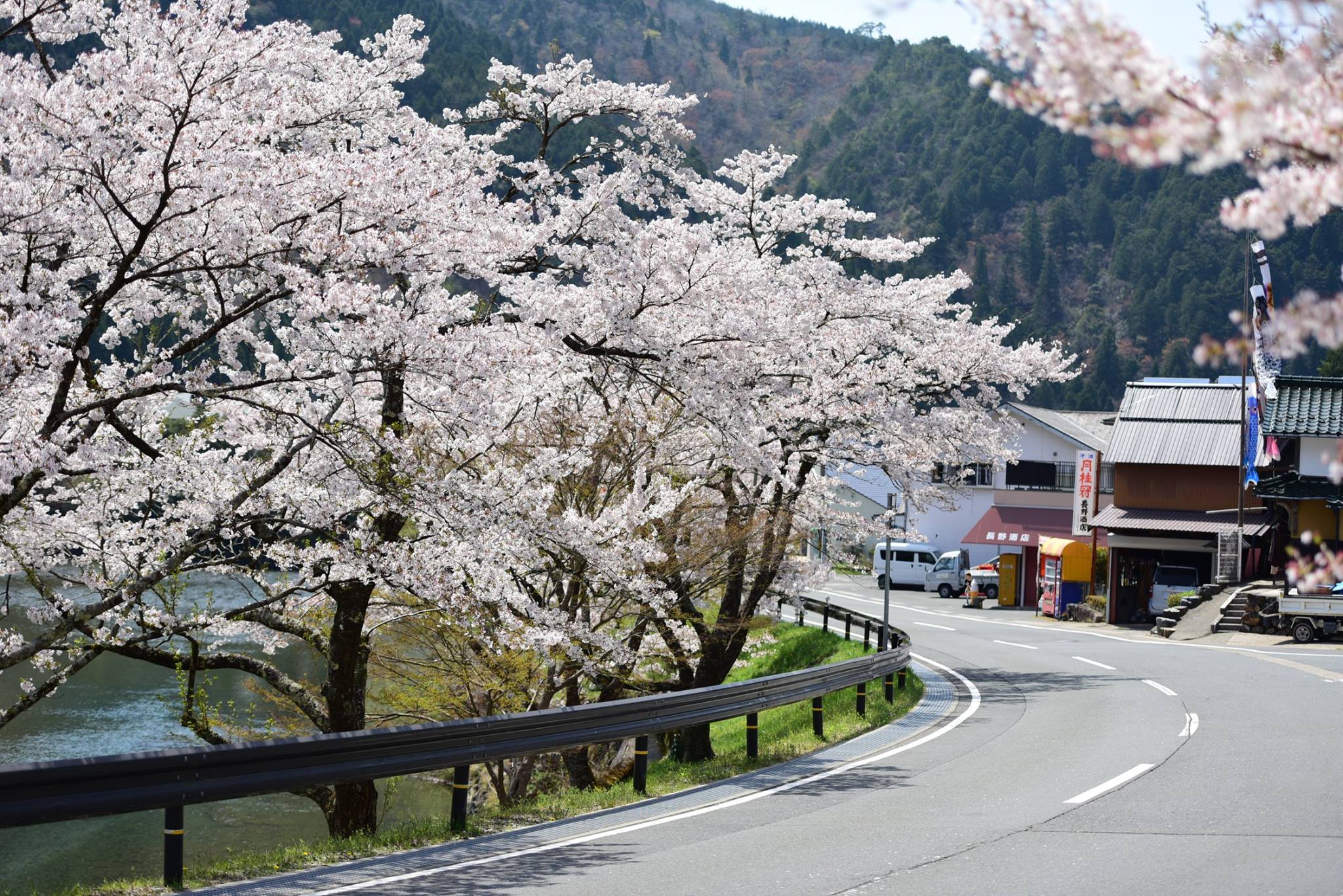 34729474_1987734021555586_8558895627855986688_o