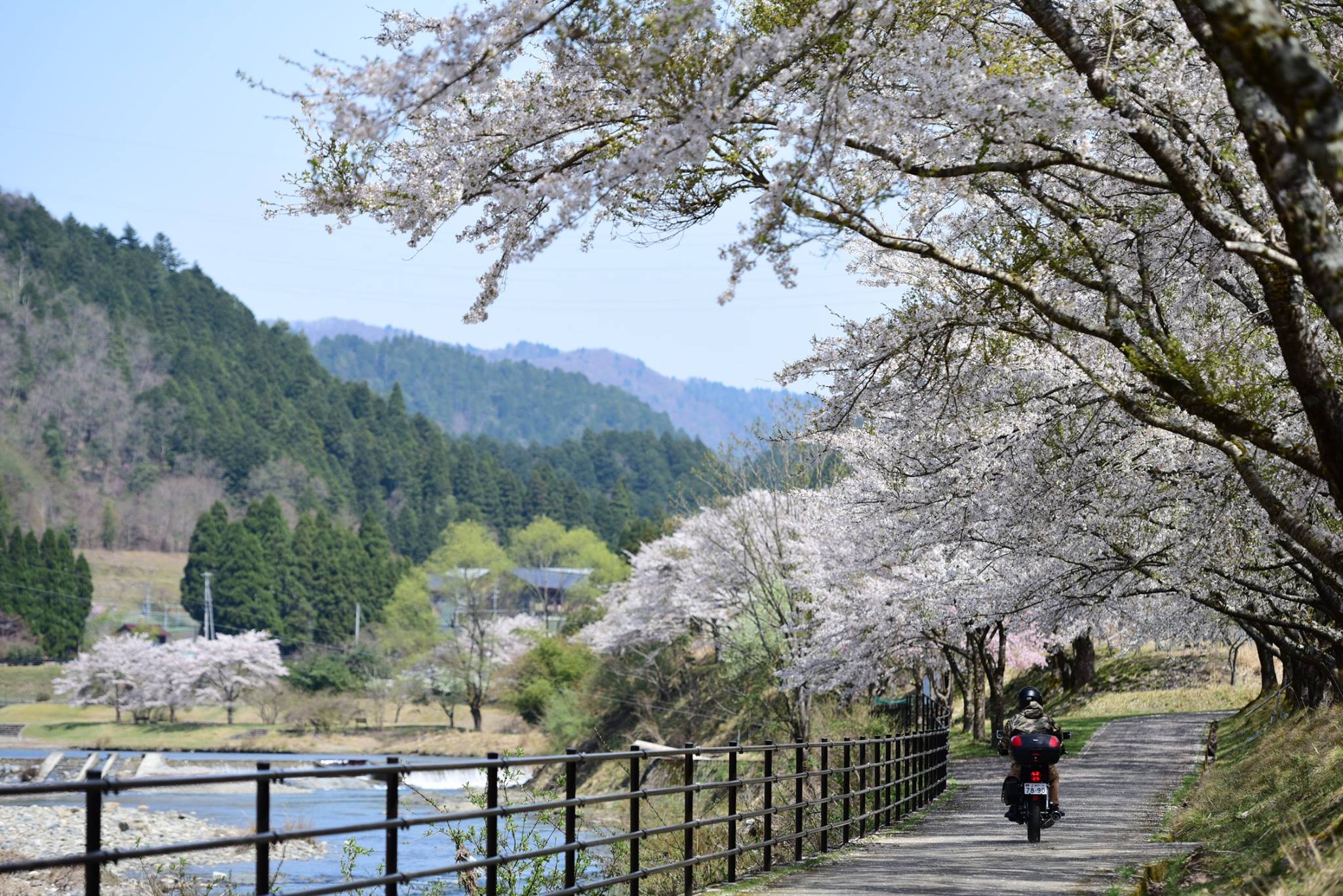 34795258_1987734371555551_1287320454456934400_o