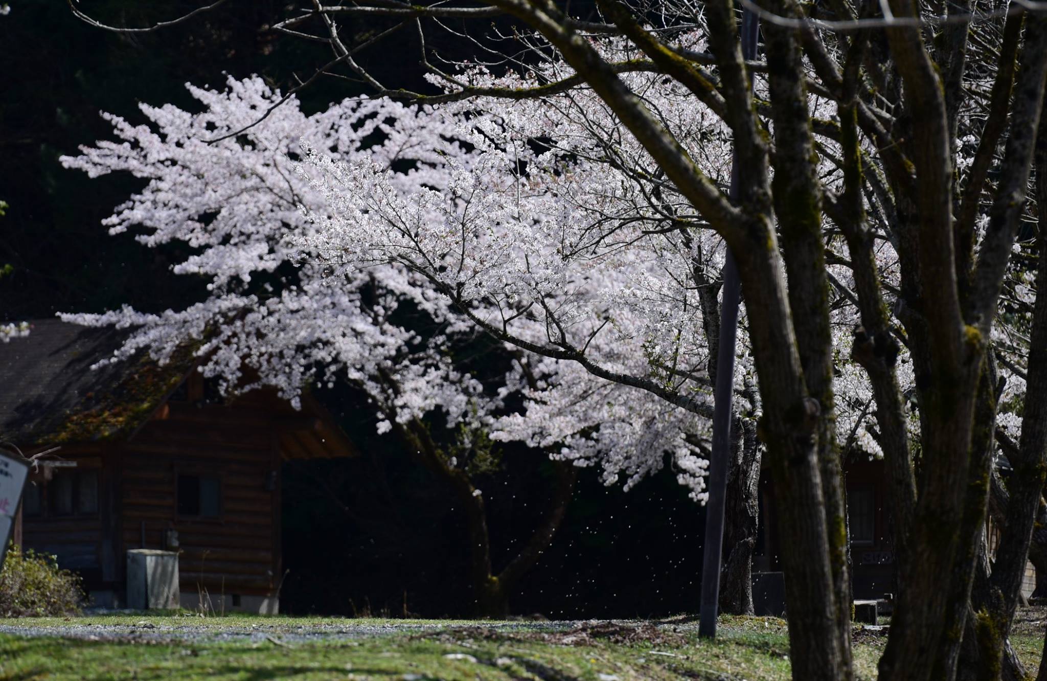 34813366_1987734421555546_4539268948511686656_o