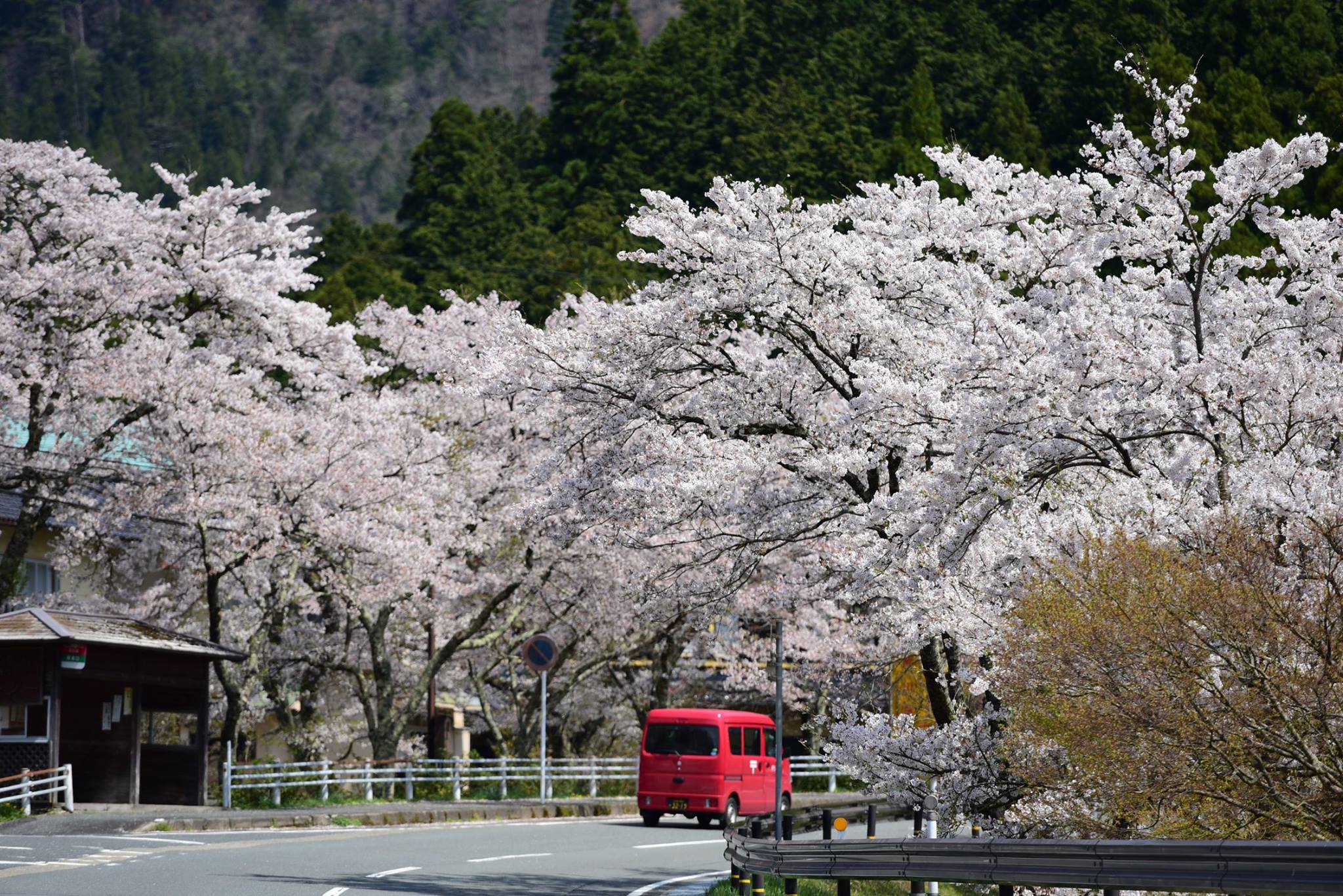 34845488_1987733904888931_1205826469377343488_o