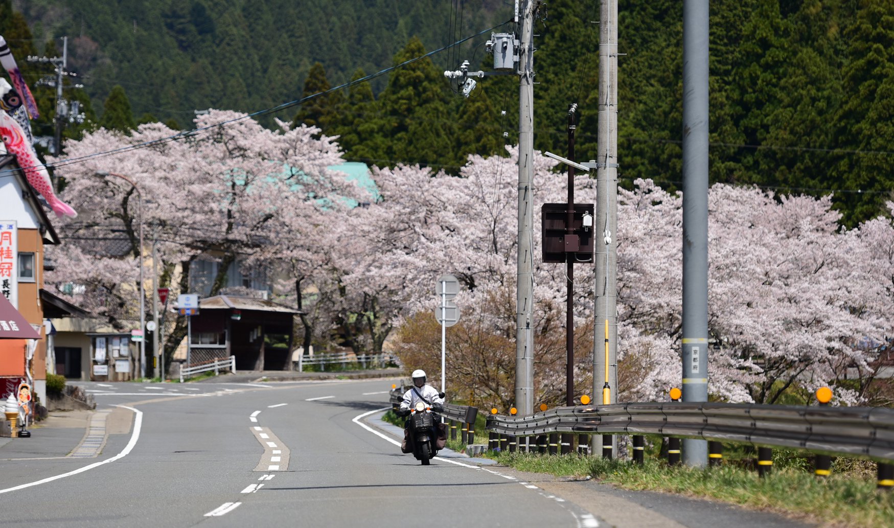 34863353_1987734108222244_6247612926597791744_o