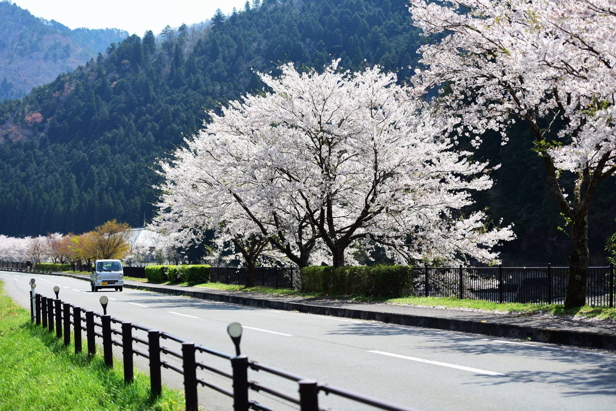 34881832_1987733468222308_7720914518762586112_o