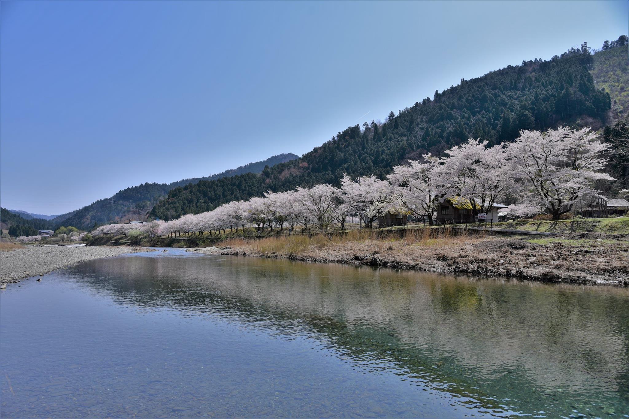 34962454_1987733671555621_1564670819454418944_o