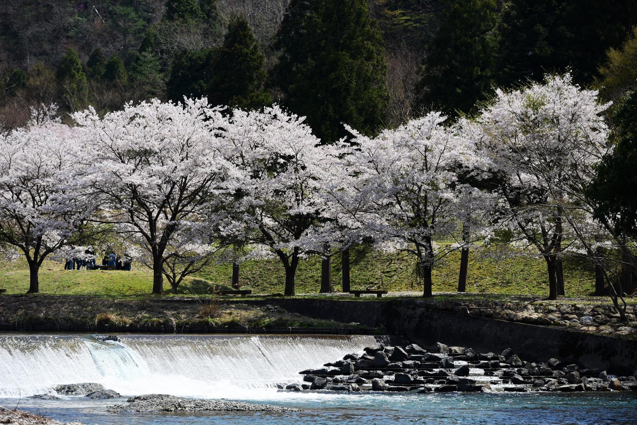 34985007_1987733788222276_3089215151031713792_o