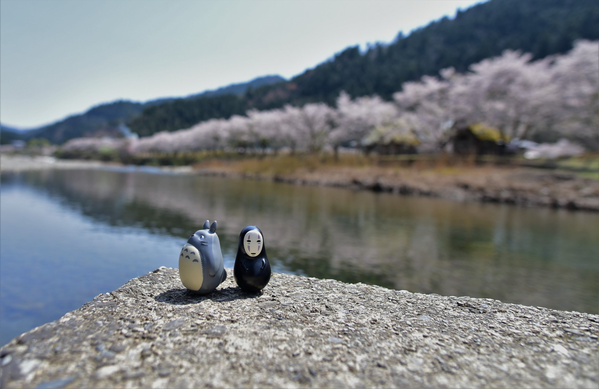 35067513_1987733608222294_61428443333525504_o