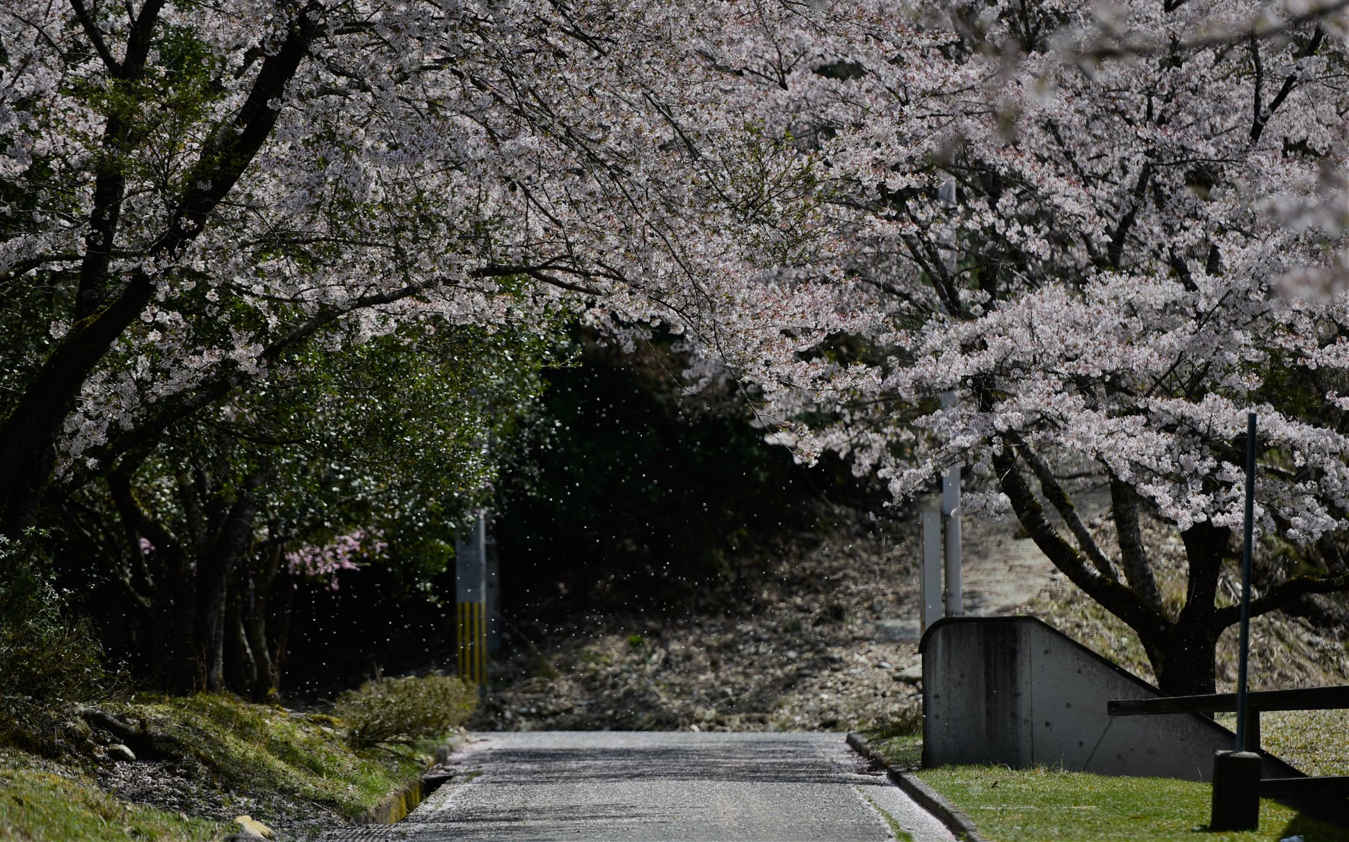 35069880_1987734161555572_3027618581203386368_o