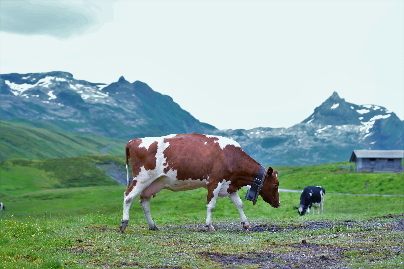 35123758_1989618211367167_6543969406643339264_o