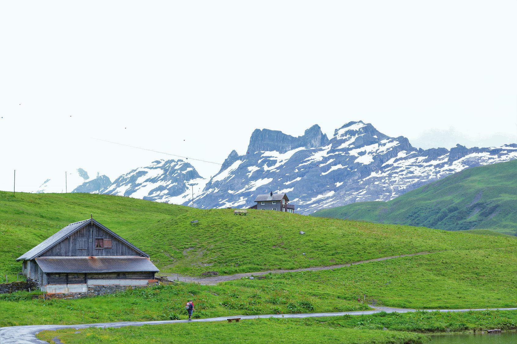 35151581_1989618074700514_6759161402910310400_o