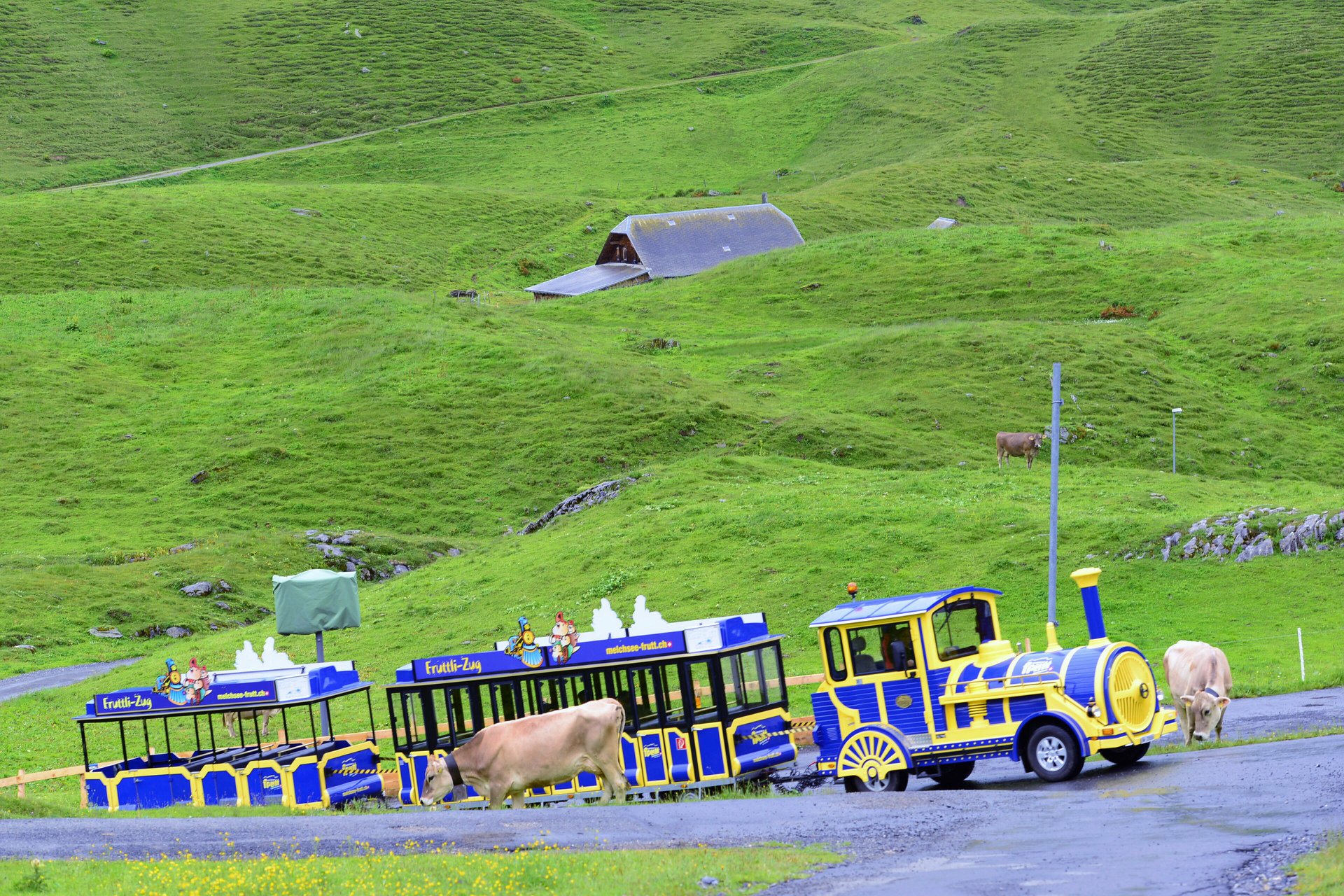 35151655_1989662038029451_3011508837480923136_o