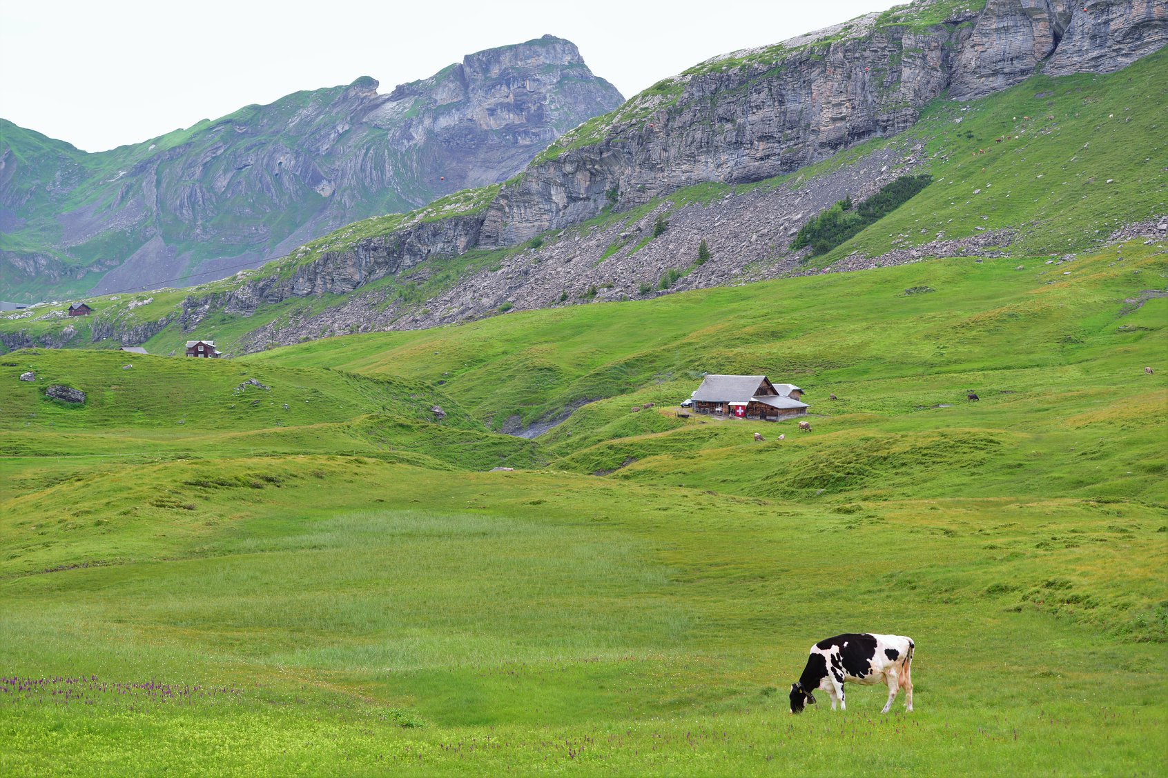 35292333_1989618261367162_6654026676587986944_o