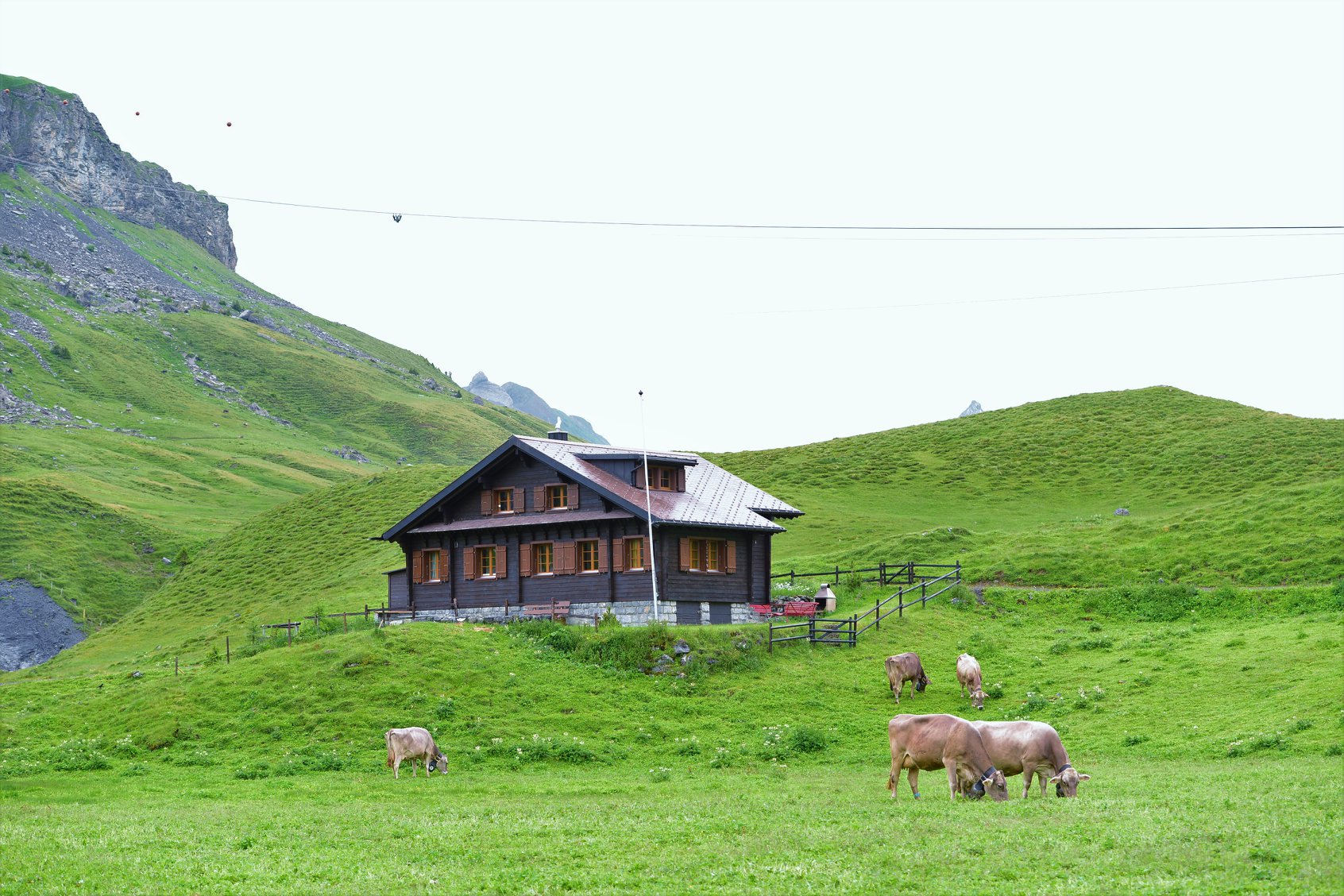 35297675_1989618124700509_8124961015923212288_o