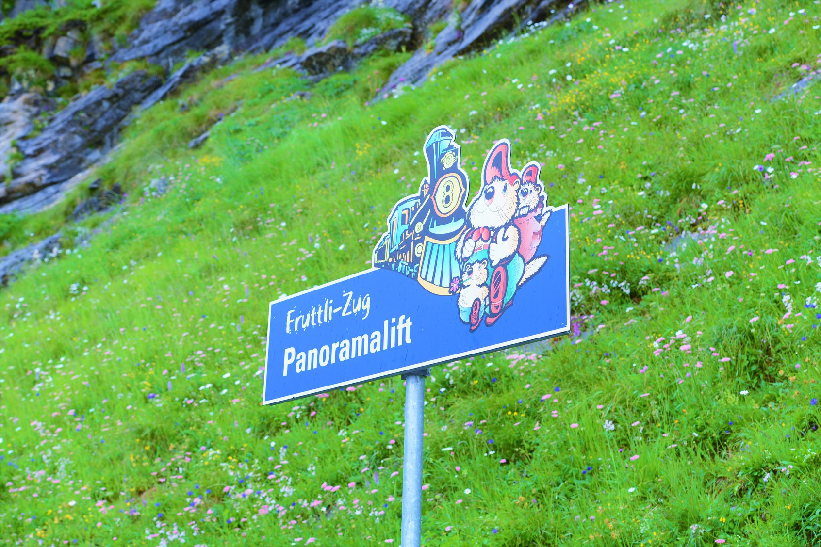 35328858_1989617964700525_1784950629685264384_o