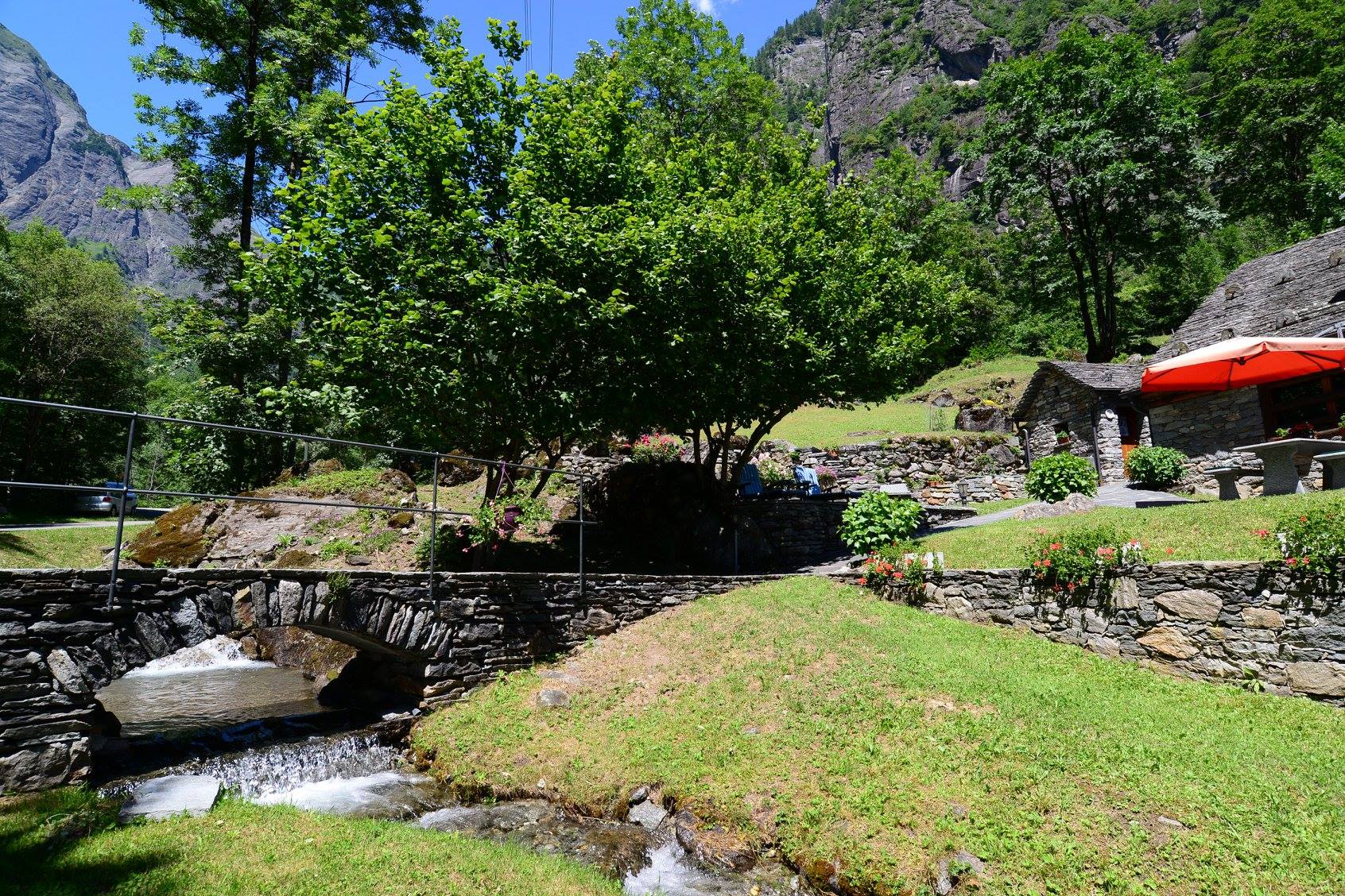 35481269_1993932050935783_2819828054832971776_o