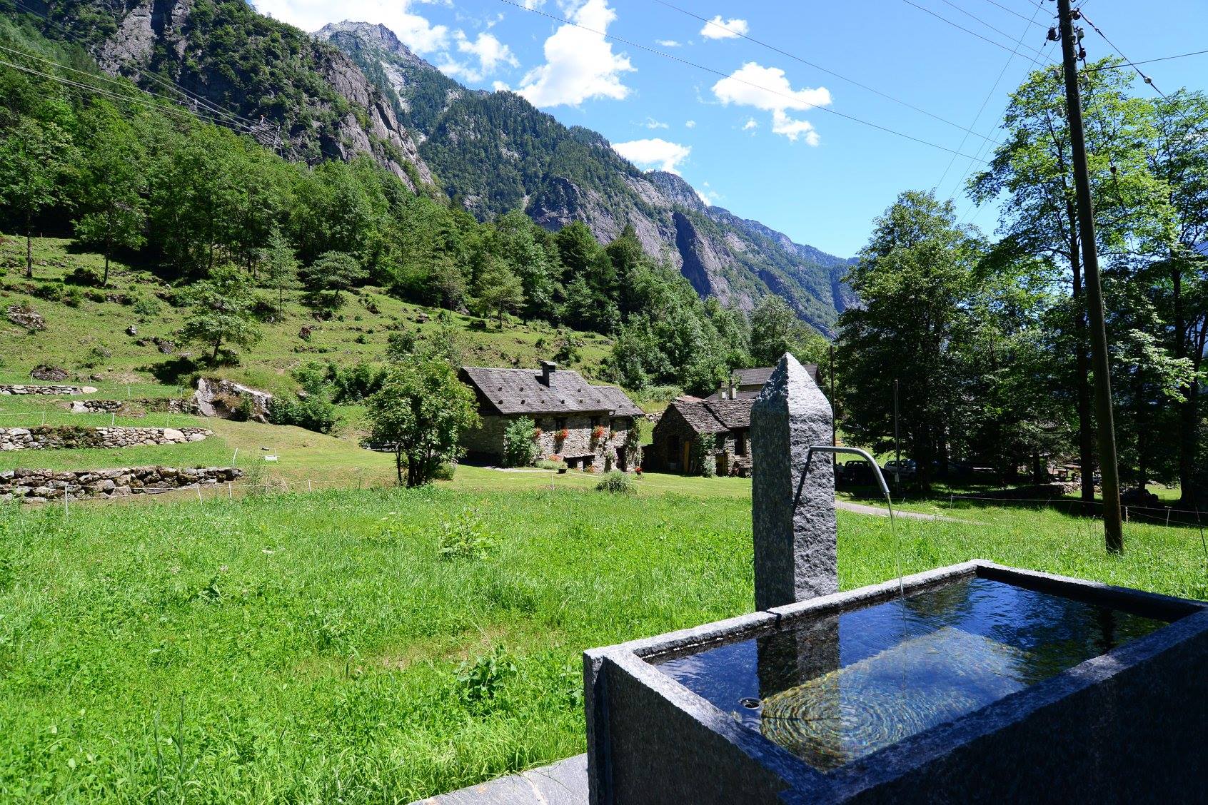 35484866_1993932164269105_7649346538111500288_o