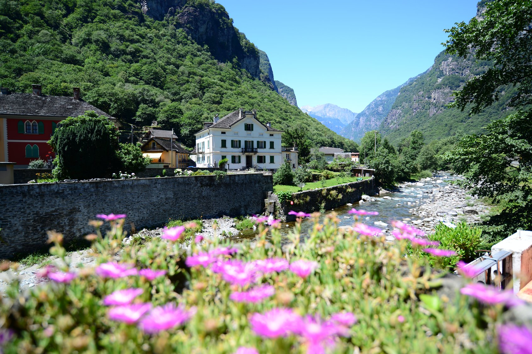 35524083_1993951220933866_8851787529582542848_o