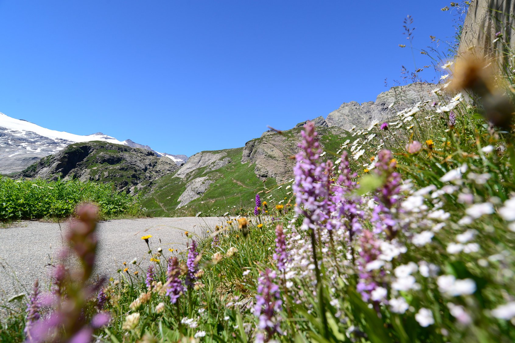 35525302_1993933644268957_2377878578659328000_o