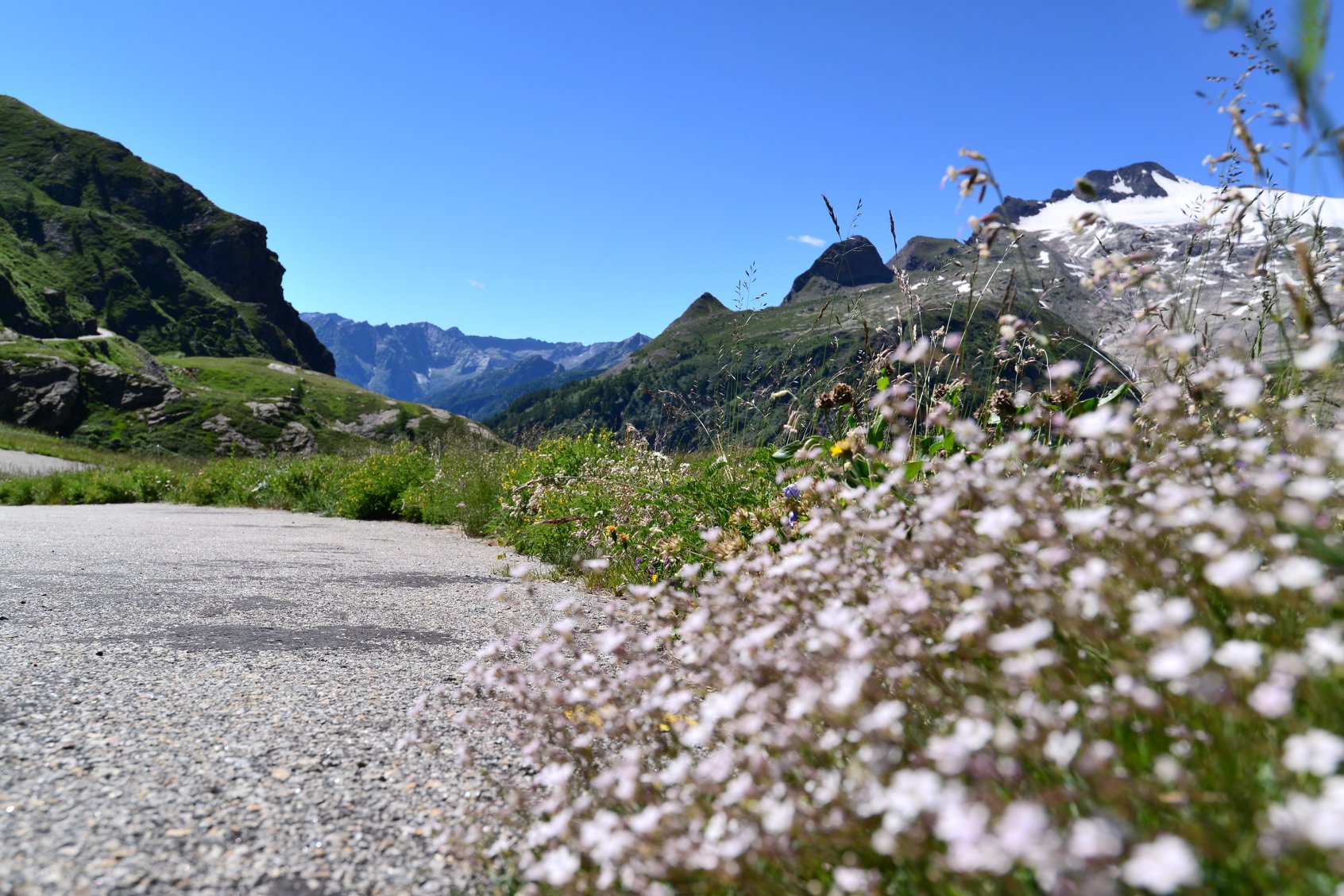 35546783_1993933747602280_1160135756878970880_o