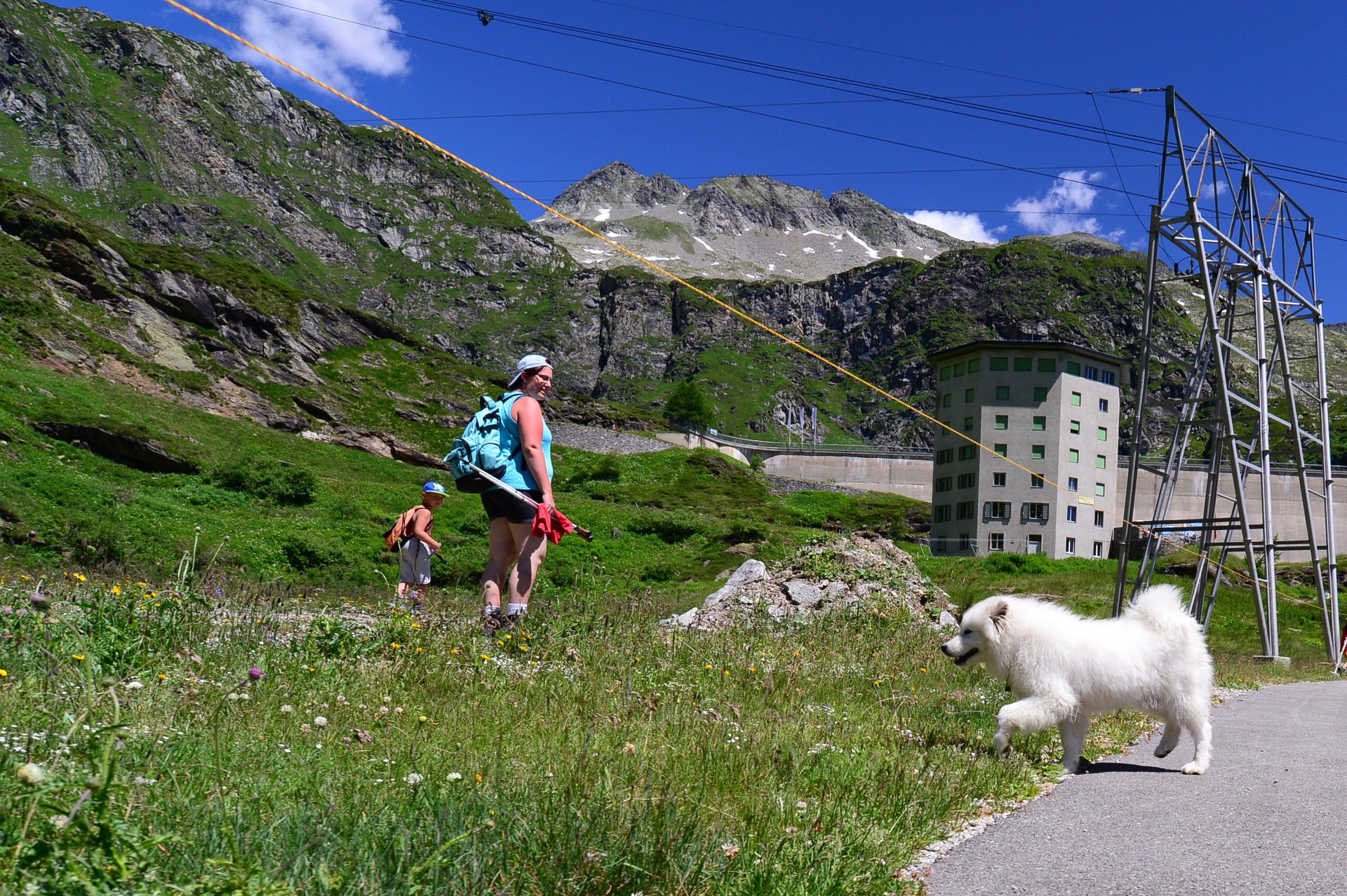 35557487_1993933847602270_8454526230346072064_o