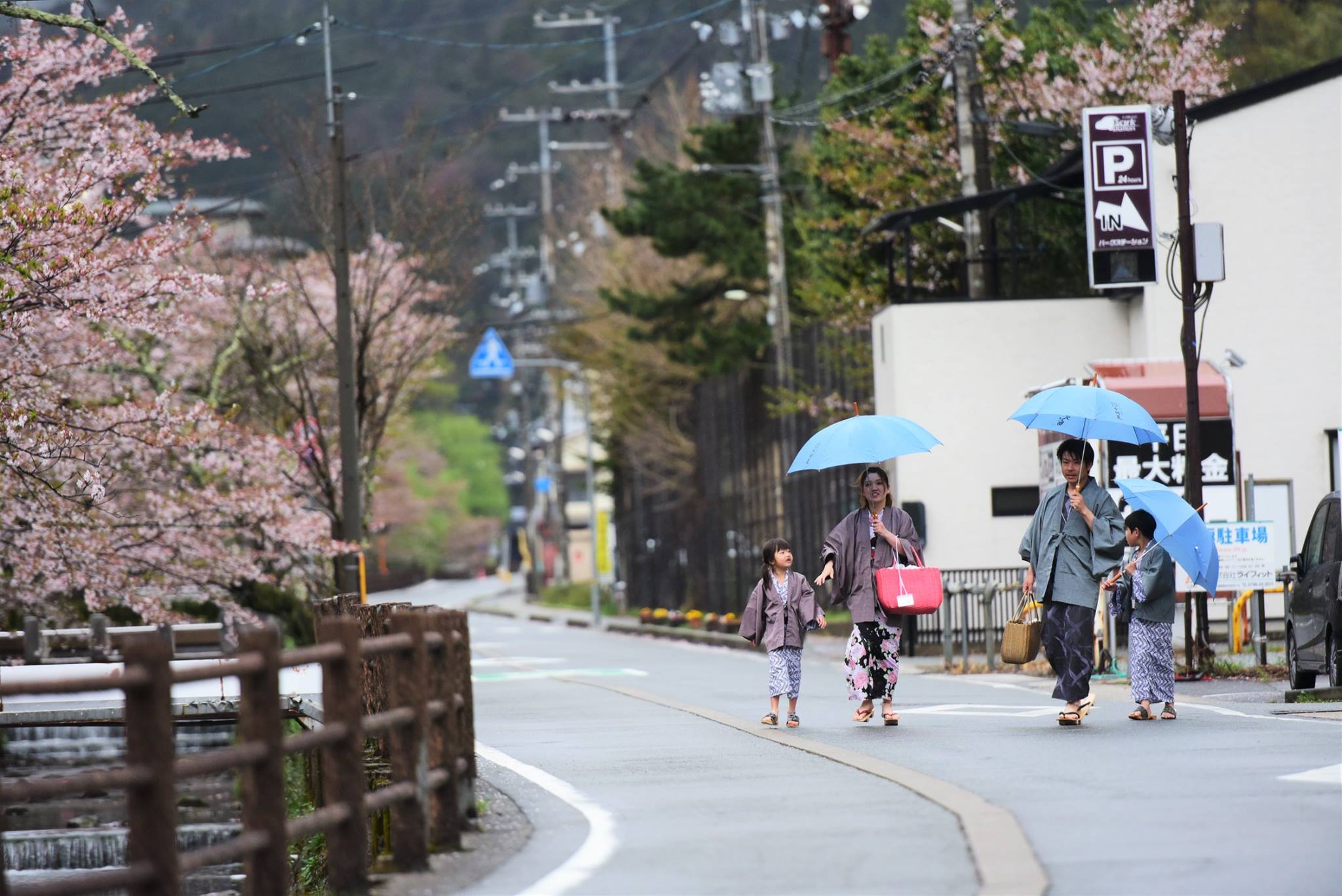 35652644_1995852367410418_2137982660650205184_o