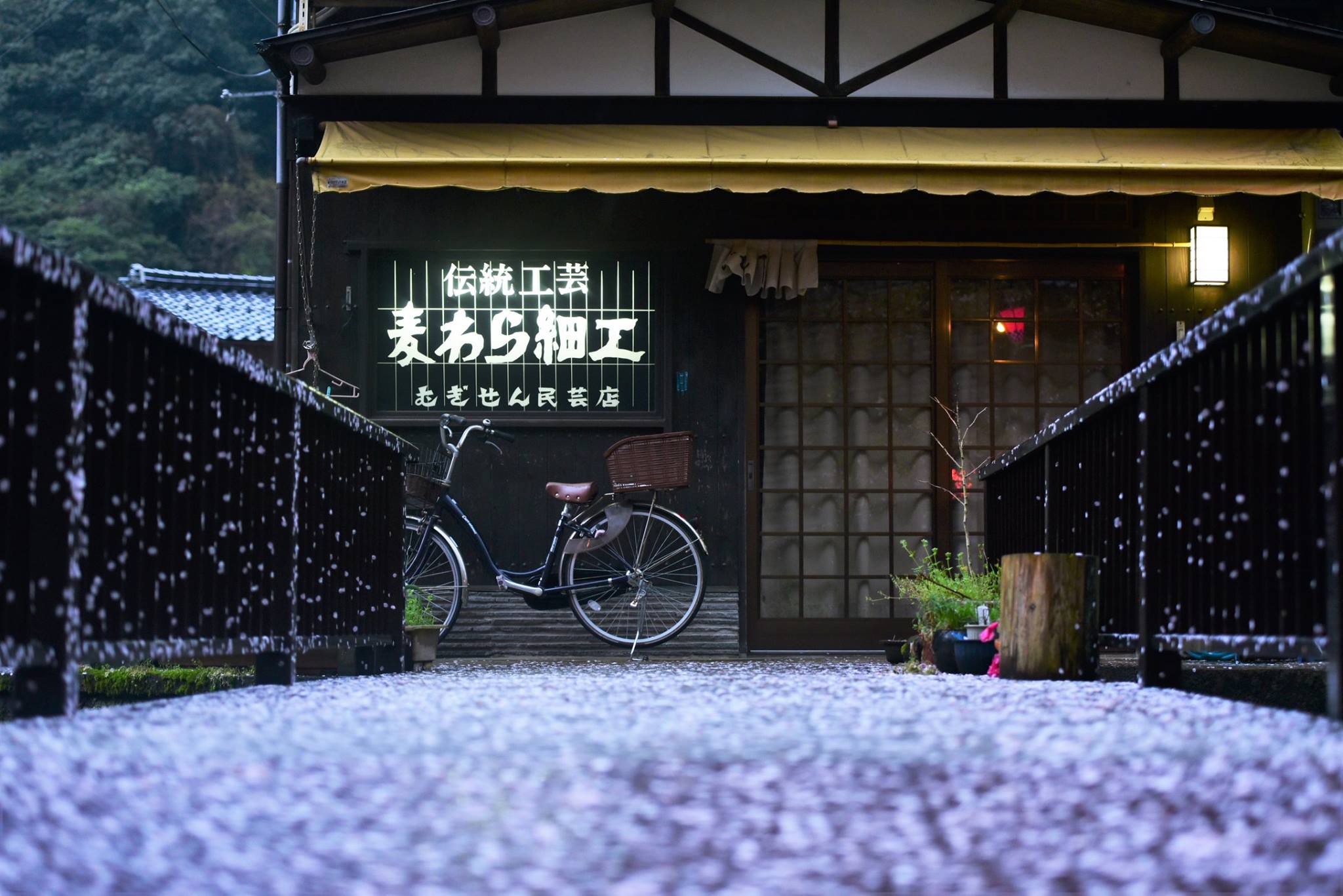 35657189_1995852774077044_5858517373803298816_o