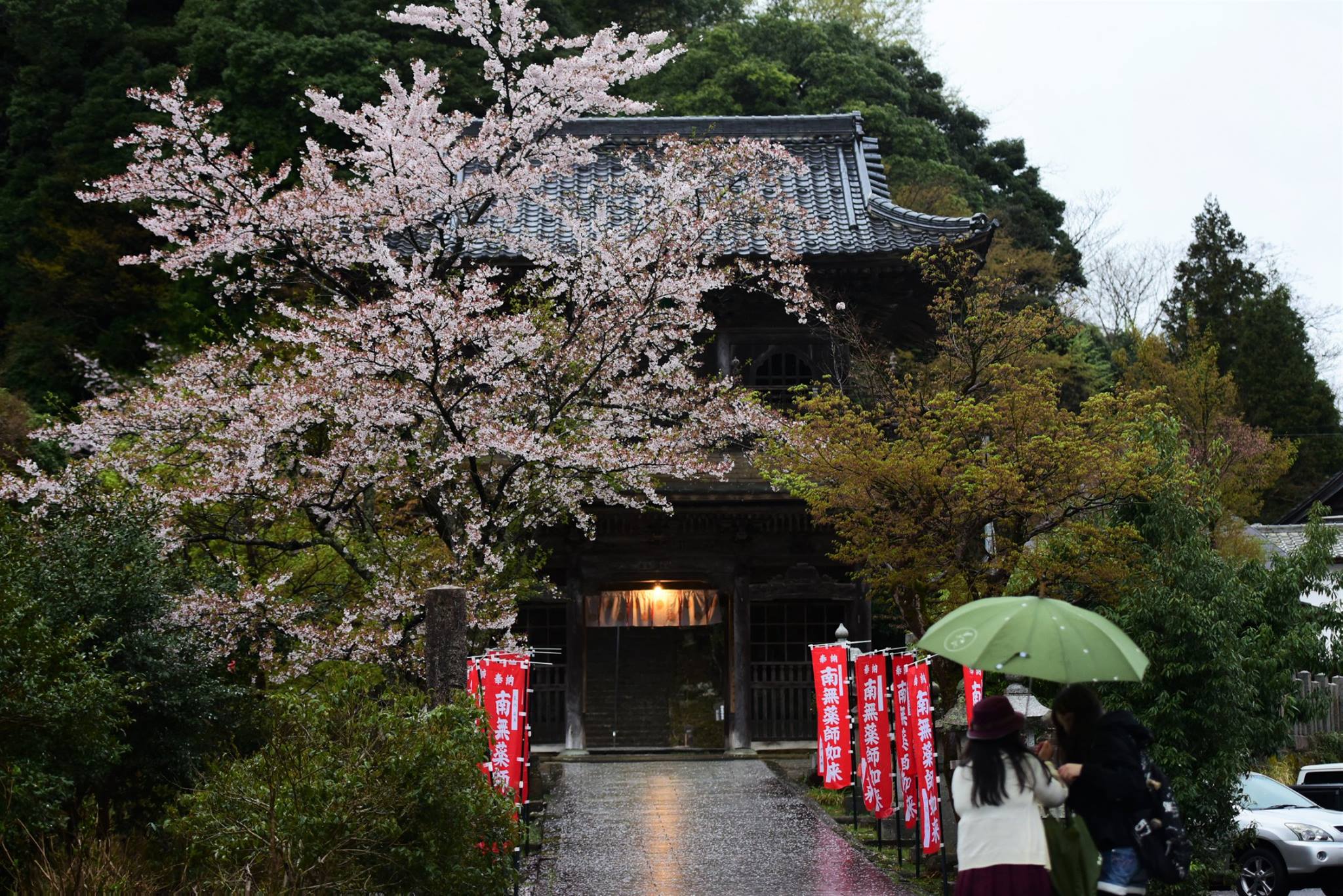 35686733_1995852444077077_7930822468304896000_o