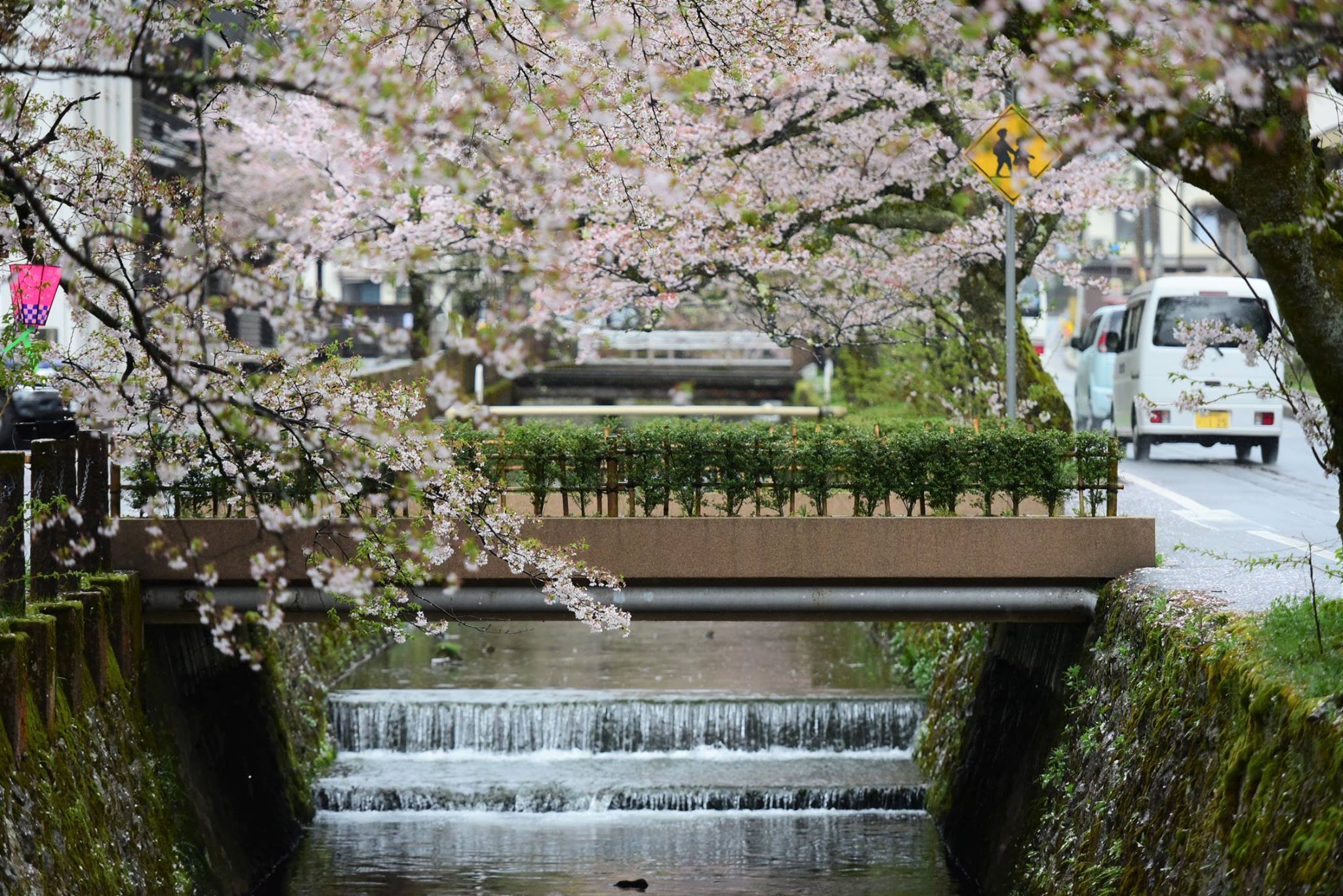 35701194_1995851827410472_4656664938880696320_o